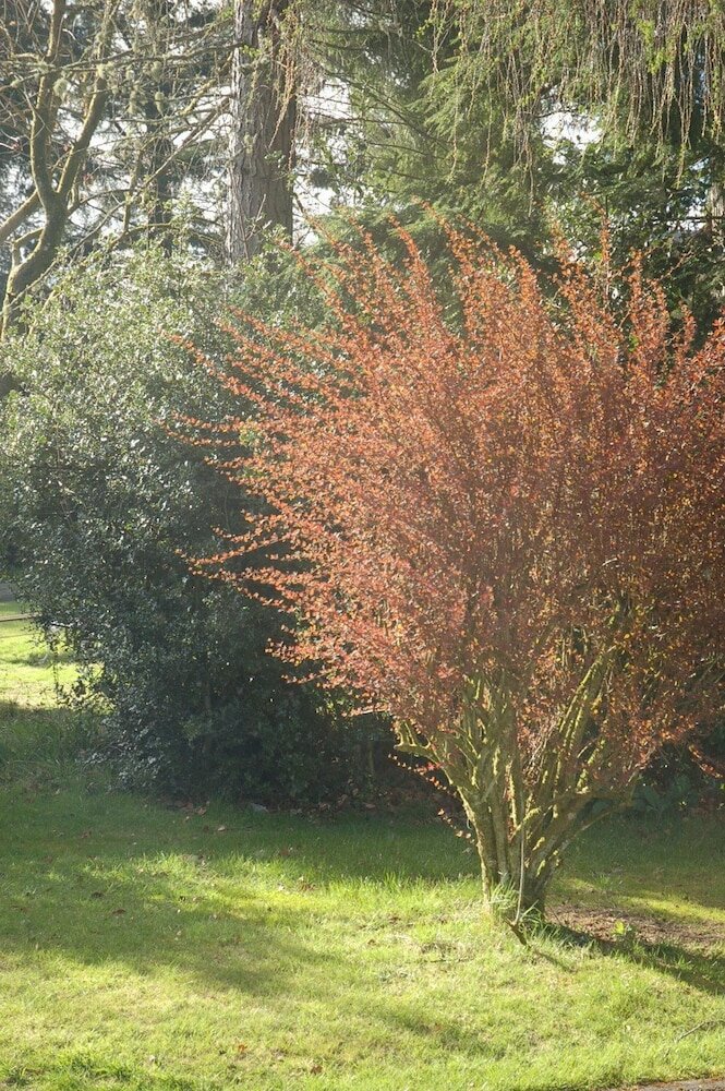 Фото Lubnaig Guest House