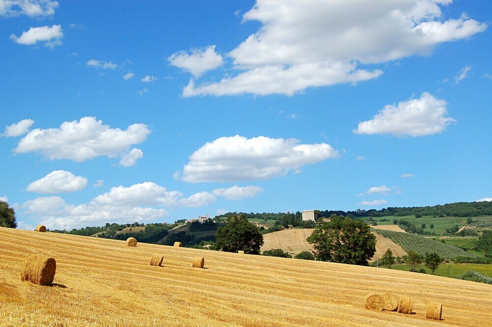 Фото Agriturismo Casale dei Frontini