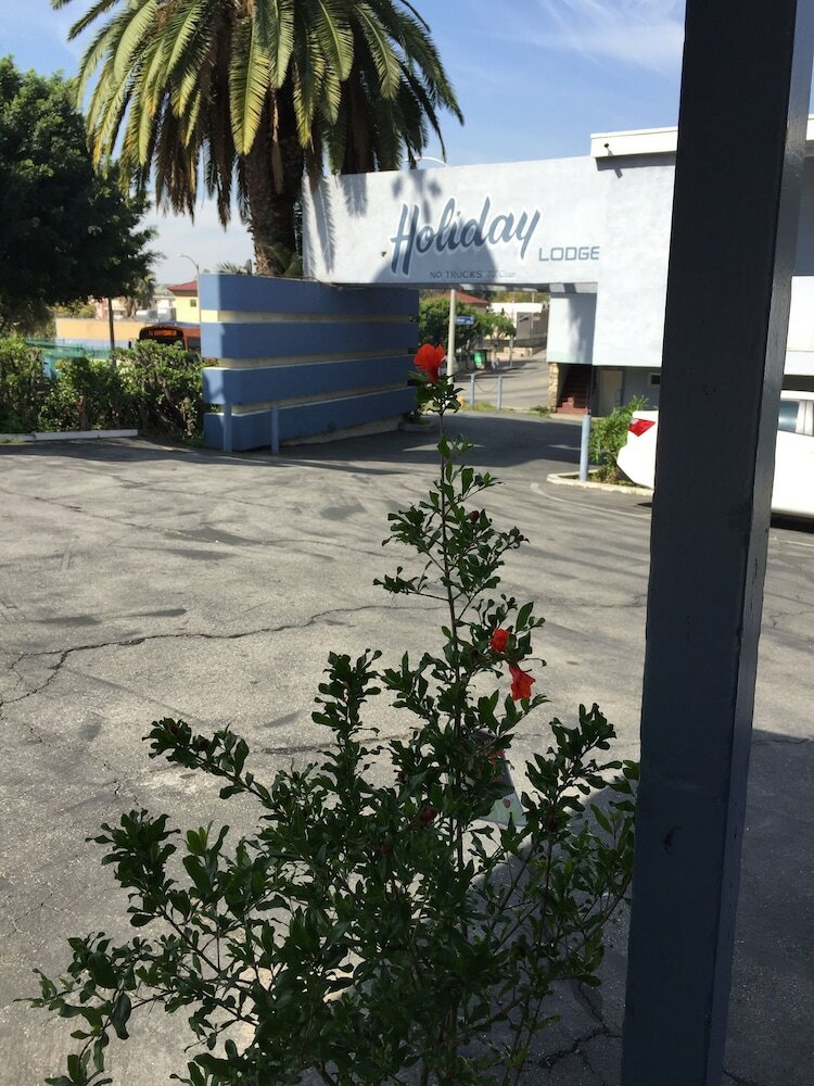 Фото Holiday Lodge