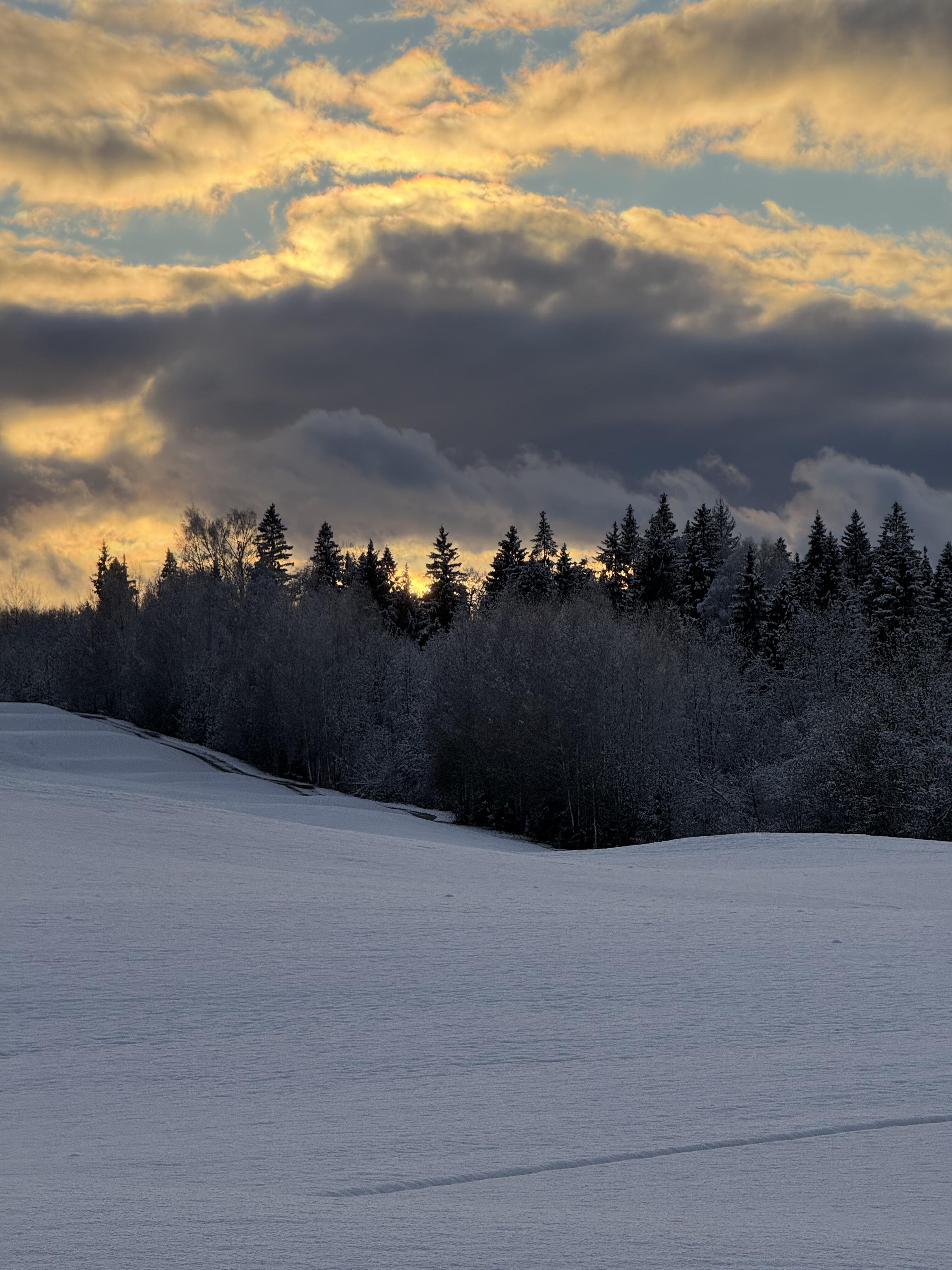 Фото Форест Хиллс