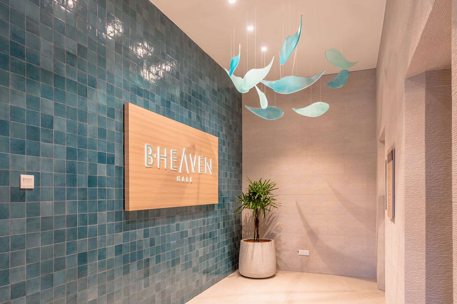 Фото Barceló Nasandhura Malé