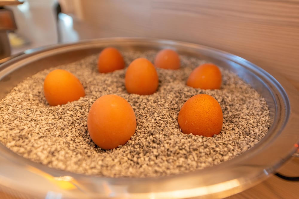 Фото Das Hotel an der Stadthalle