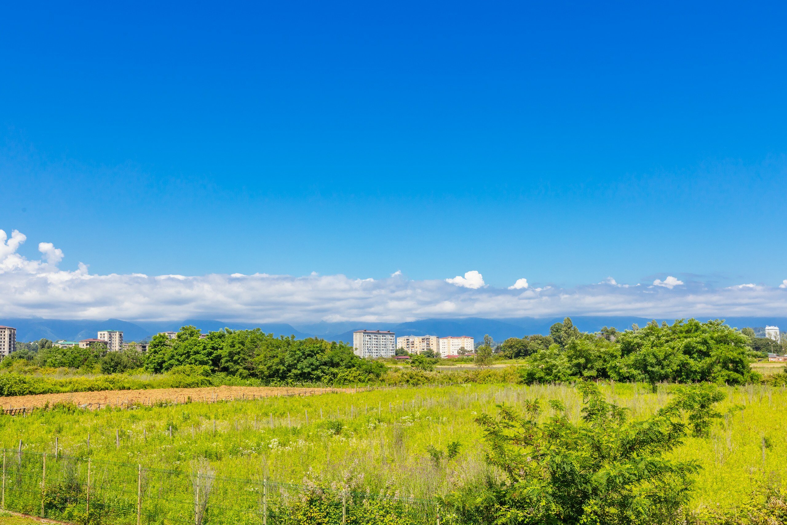 Фото Эко Папа