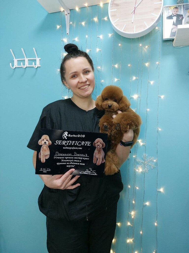 Pet salon Grooming, Vawkavysk, photo