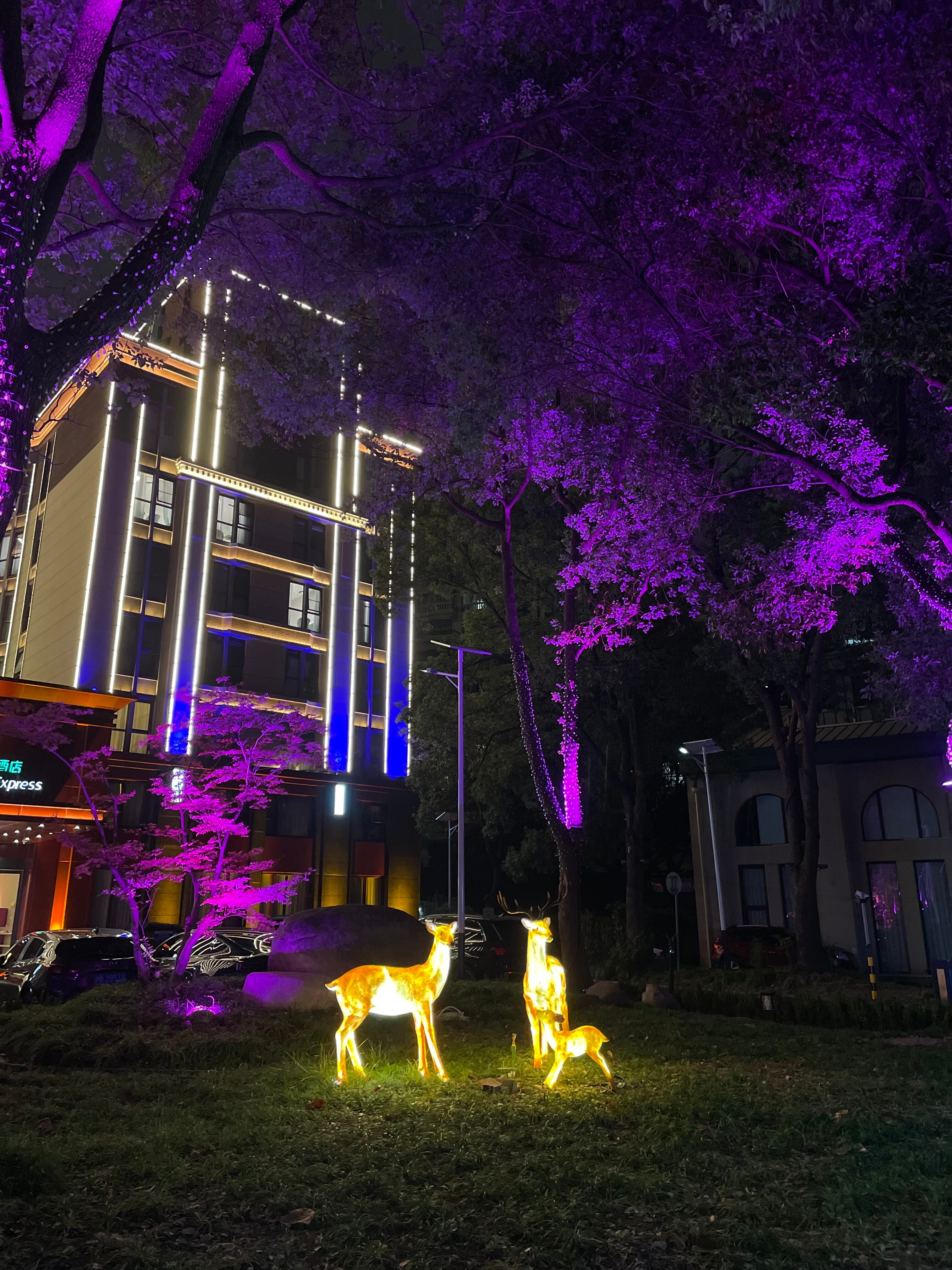 Фото Holiday Inn Express Shanghai Putuo, an Ihg Hotel