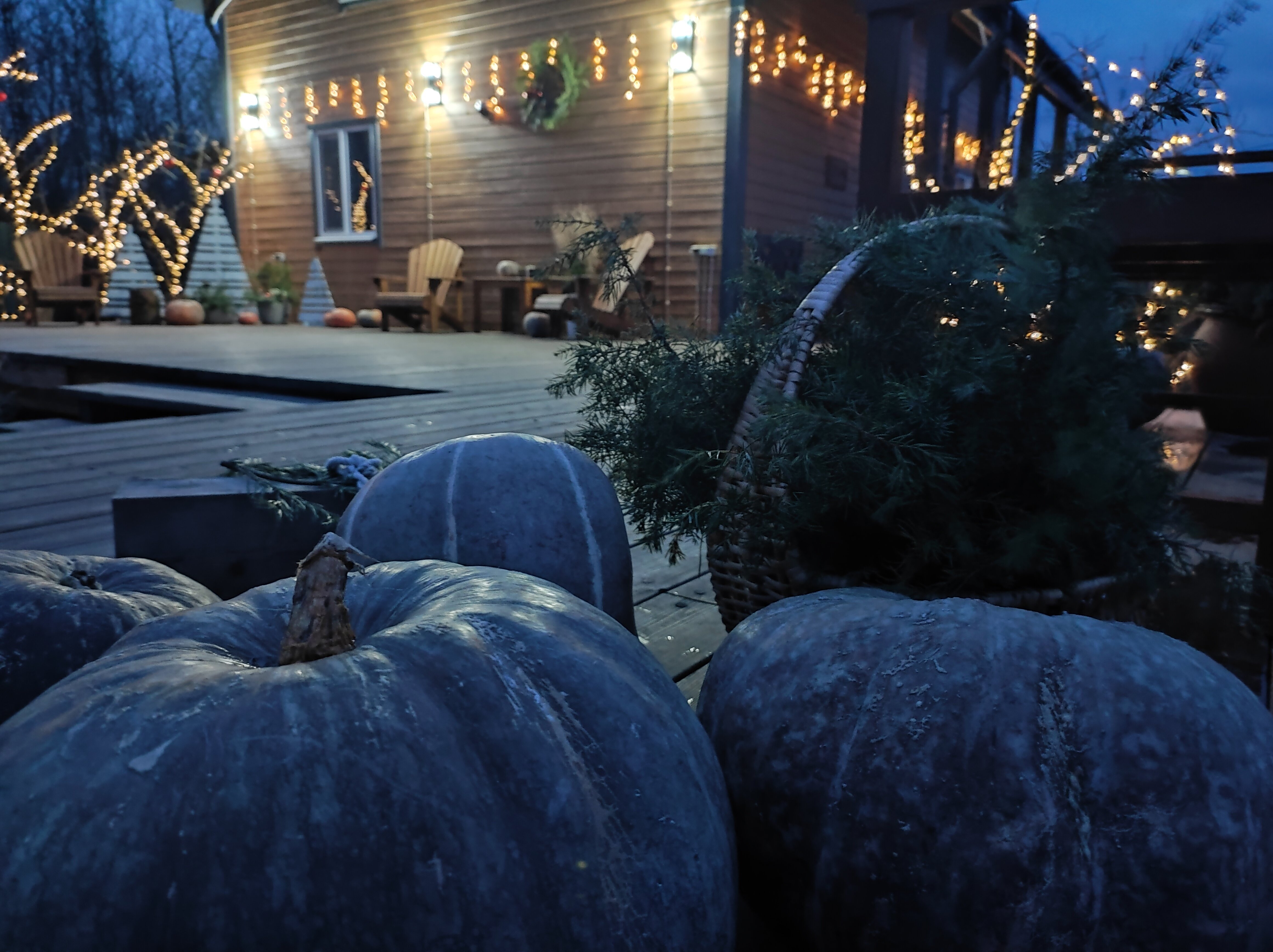 Фото Гостевой дом Лисы