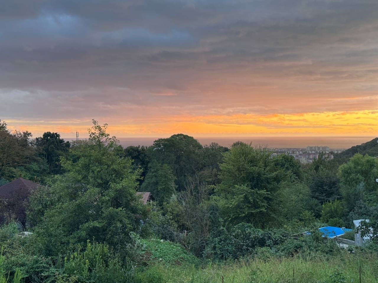 Фото Видисвет