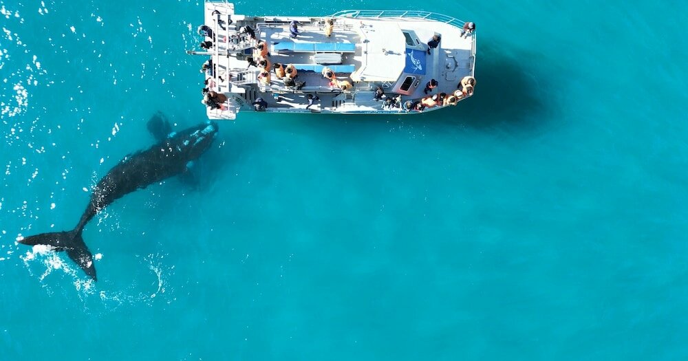 Фото White Shark Guest House