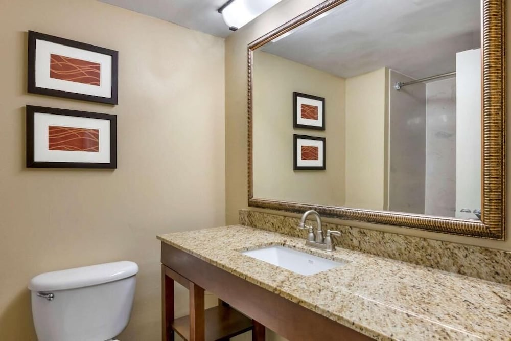 Фото Comfort Inn International Dr