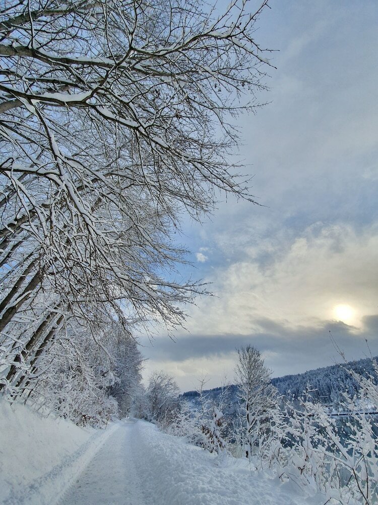 Фото Hotel Palais26 Villach