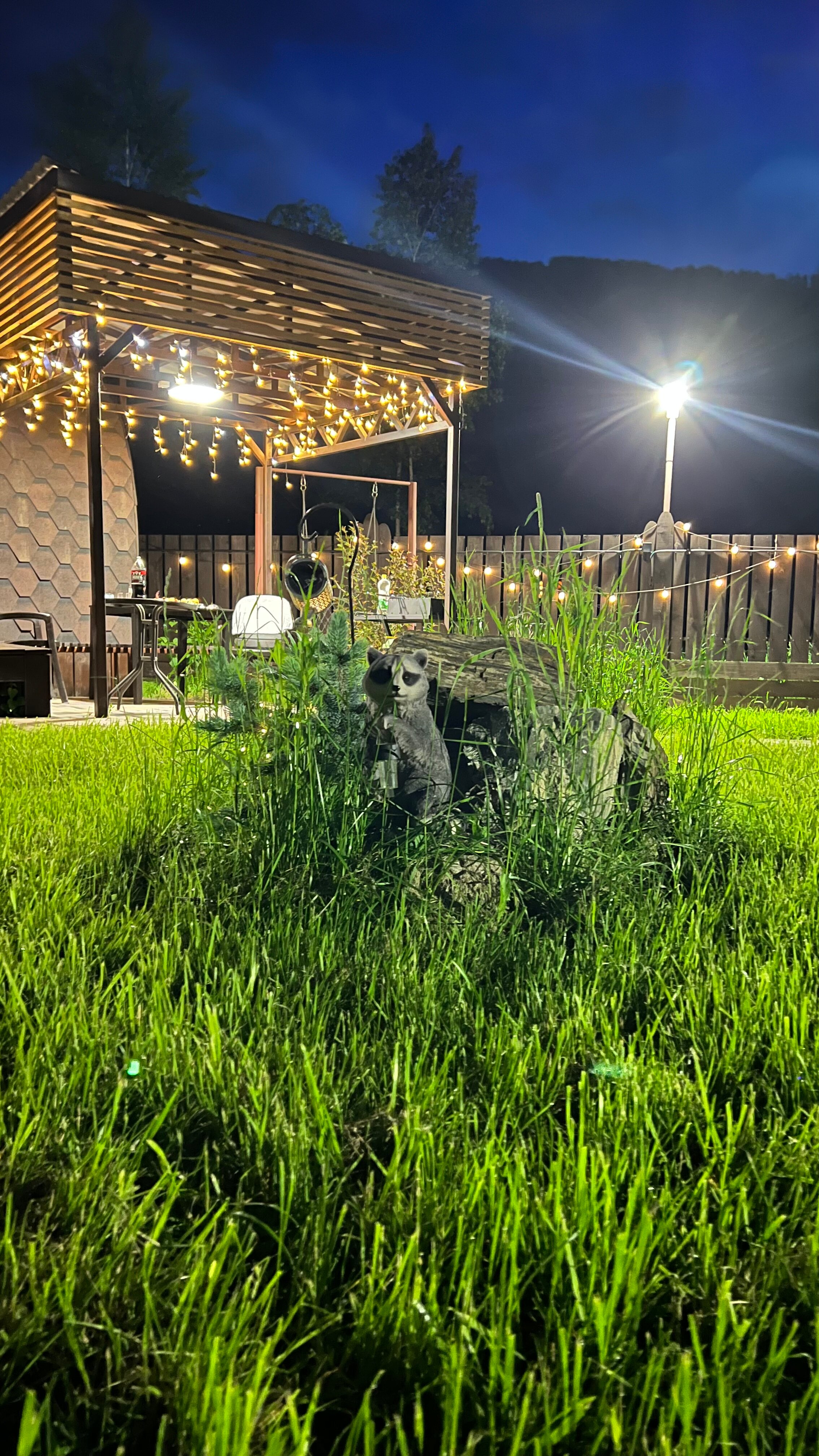 Фото Seven Лодж