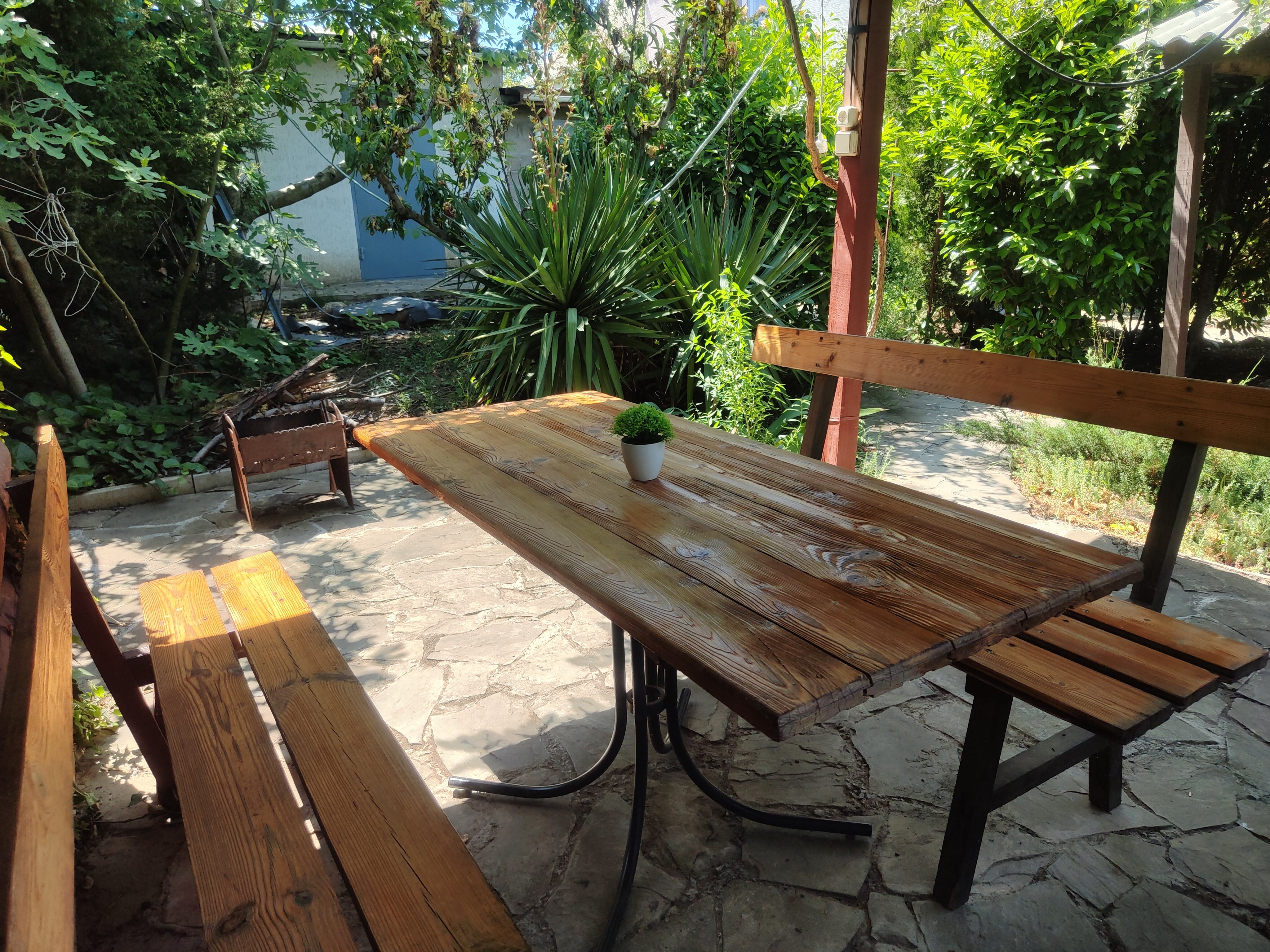 Фото Фиолентовский