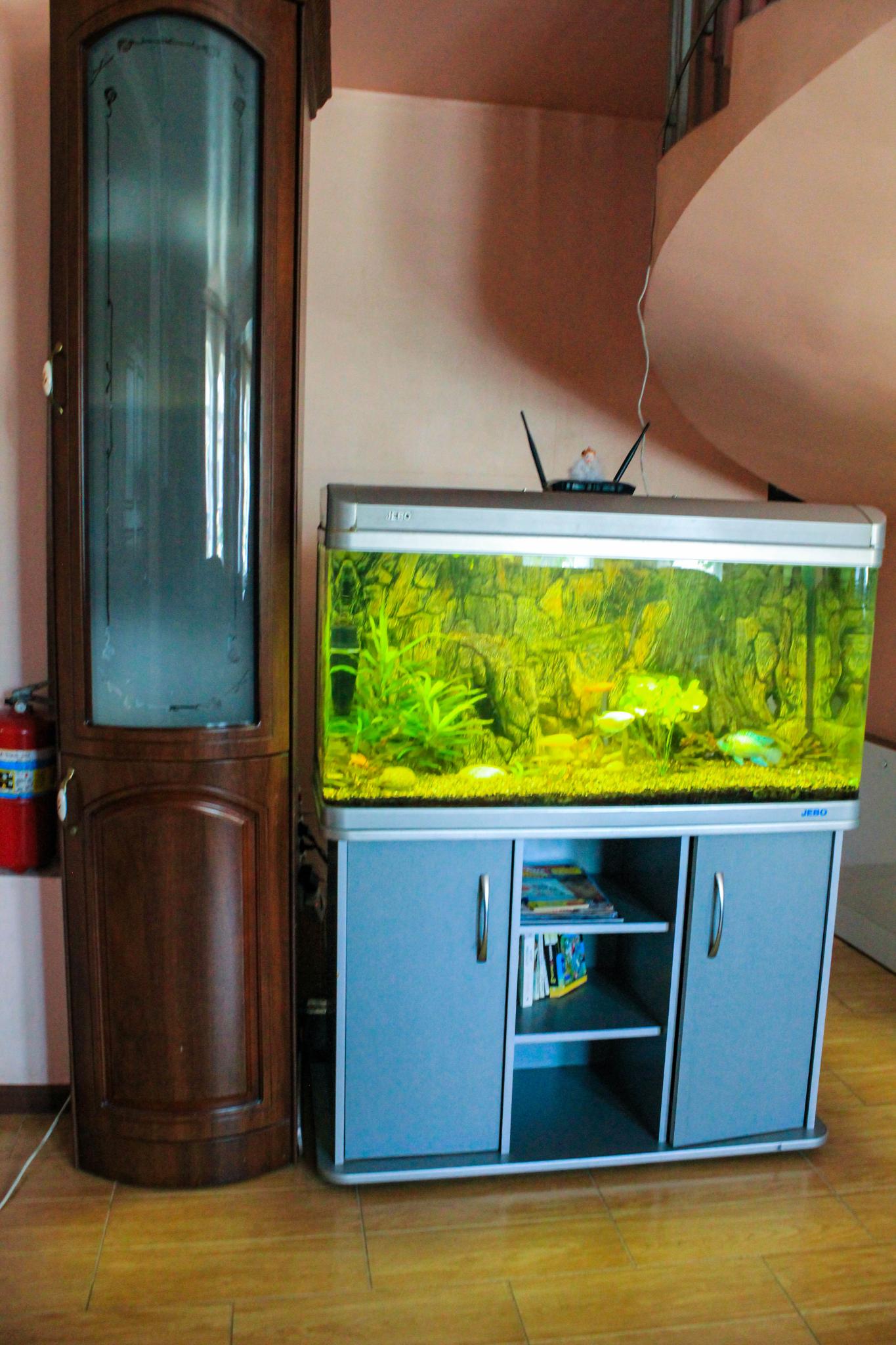 Фото У Машука