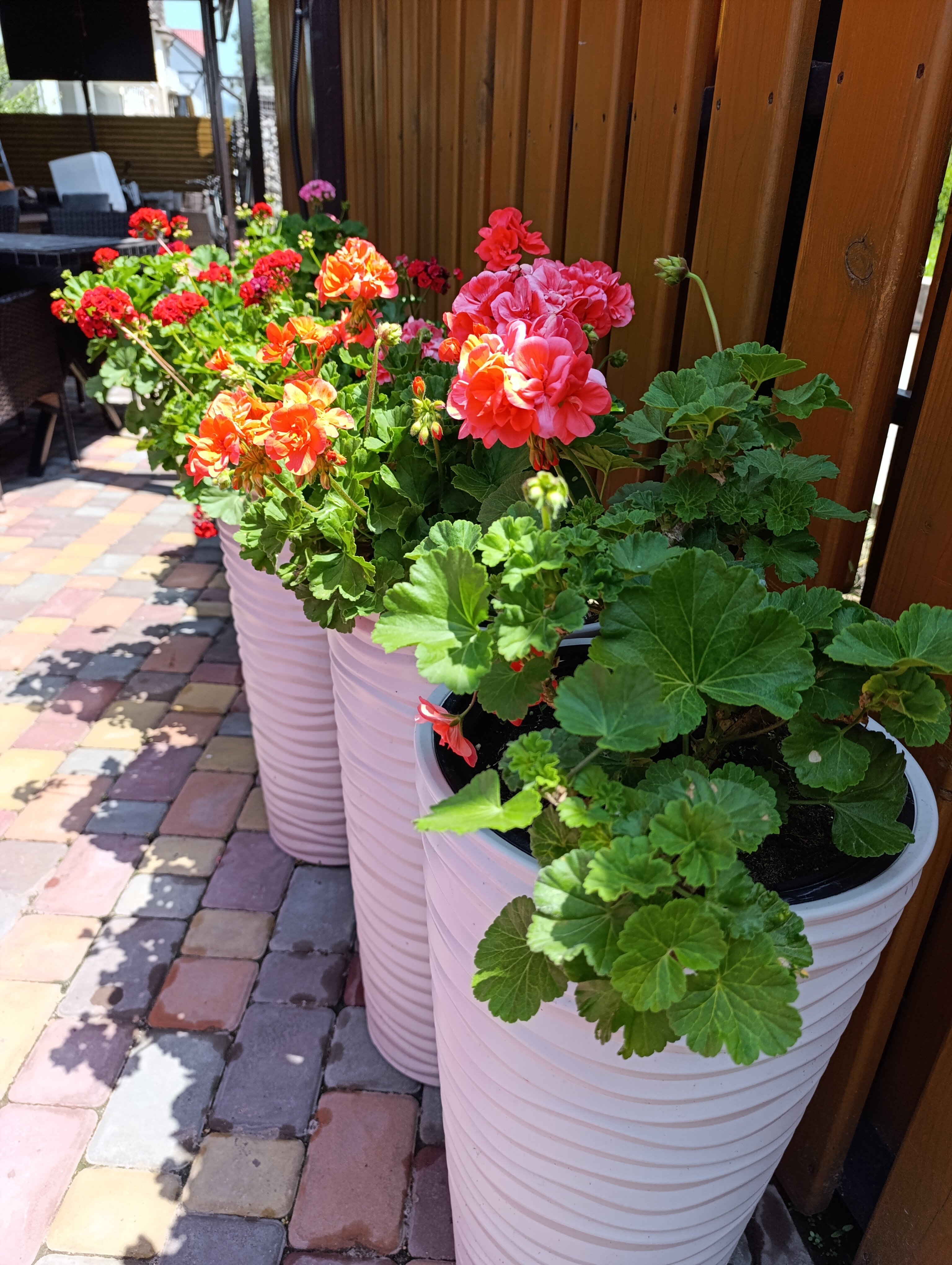 Фото Матрёшка