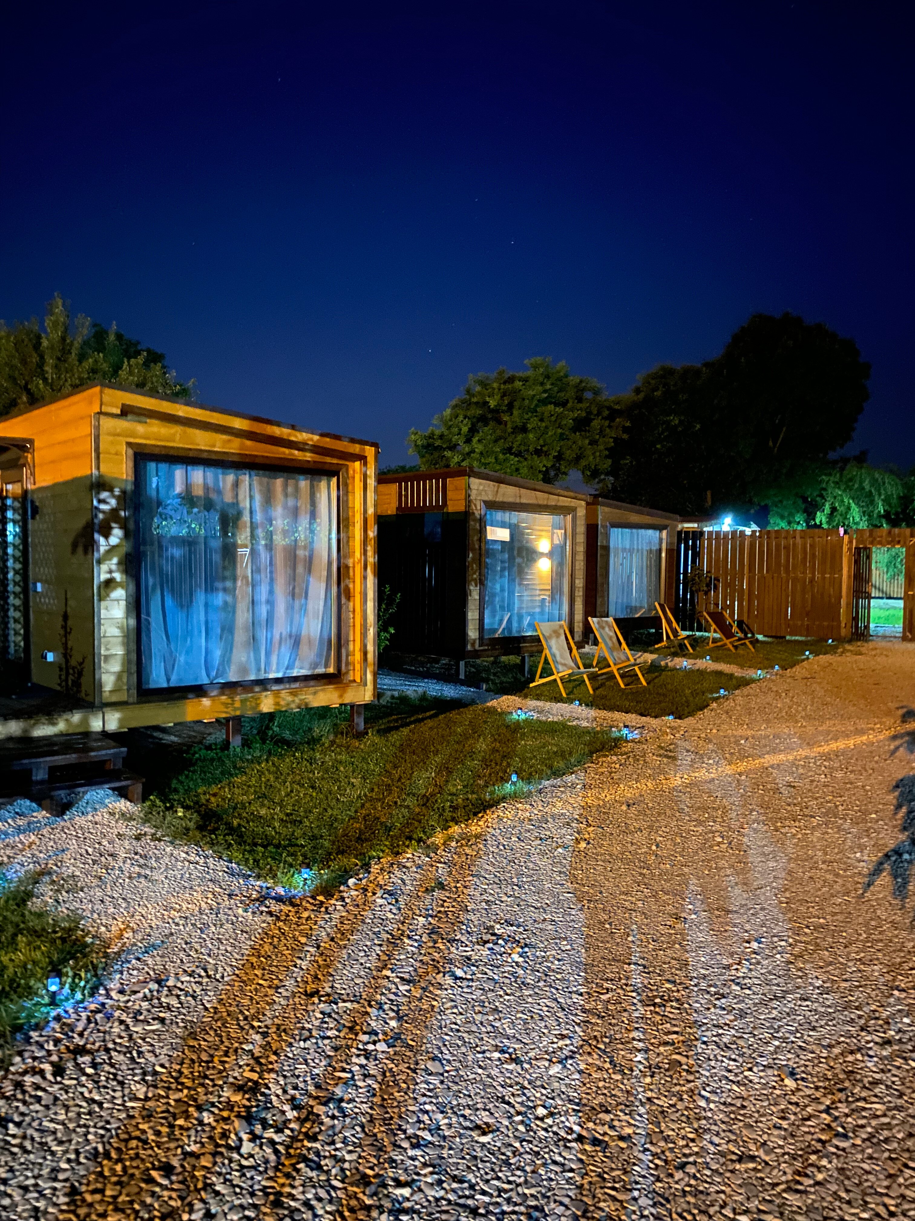 Фото Берег леса