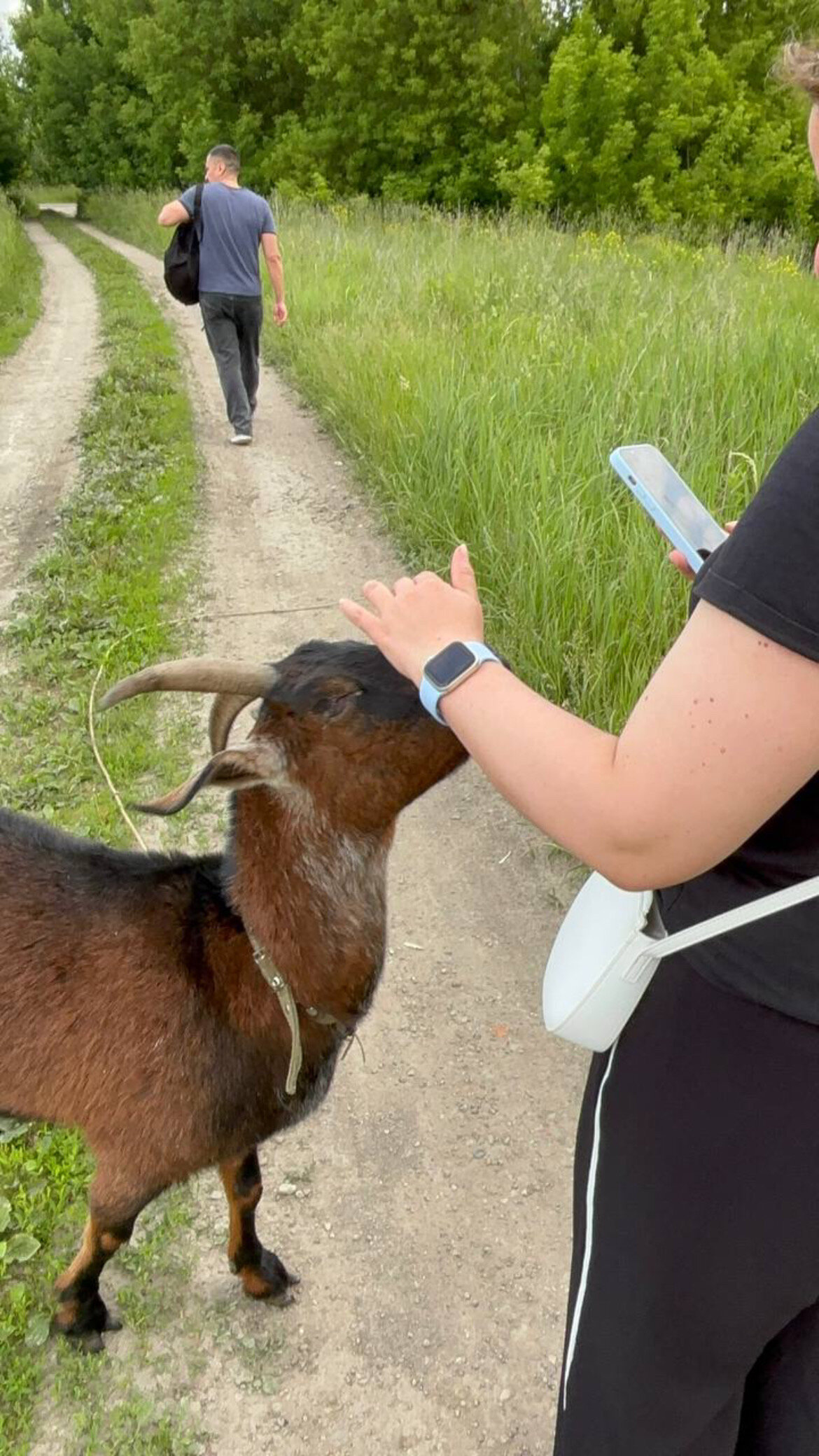 Фото Ферма Славная