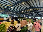 Selimpasa Market and Event Area (İstanbul, Silivri District, Selimpaşa Mah., Halaskargazi Cad., 24), mercado