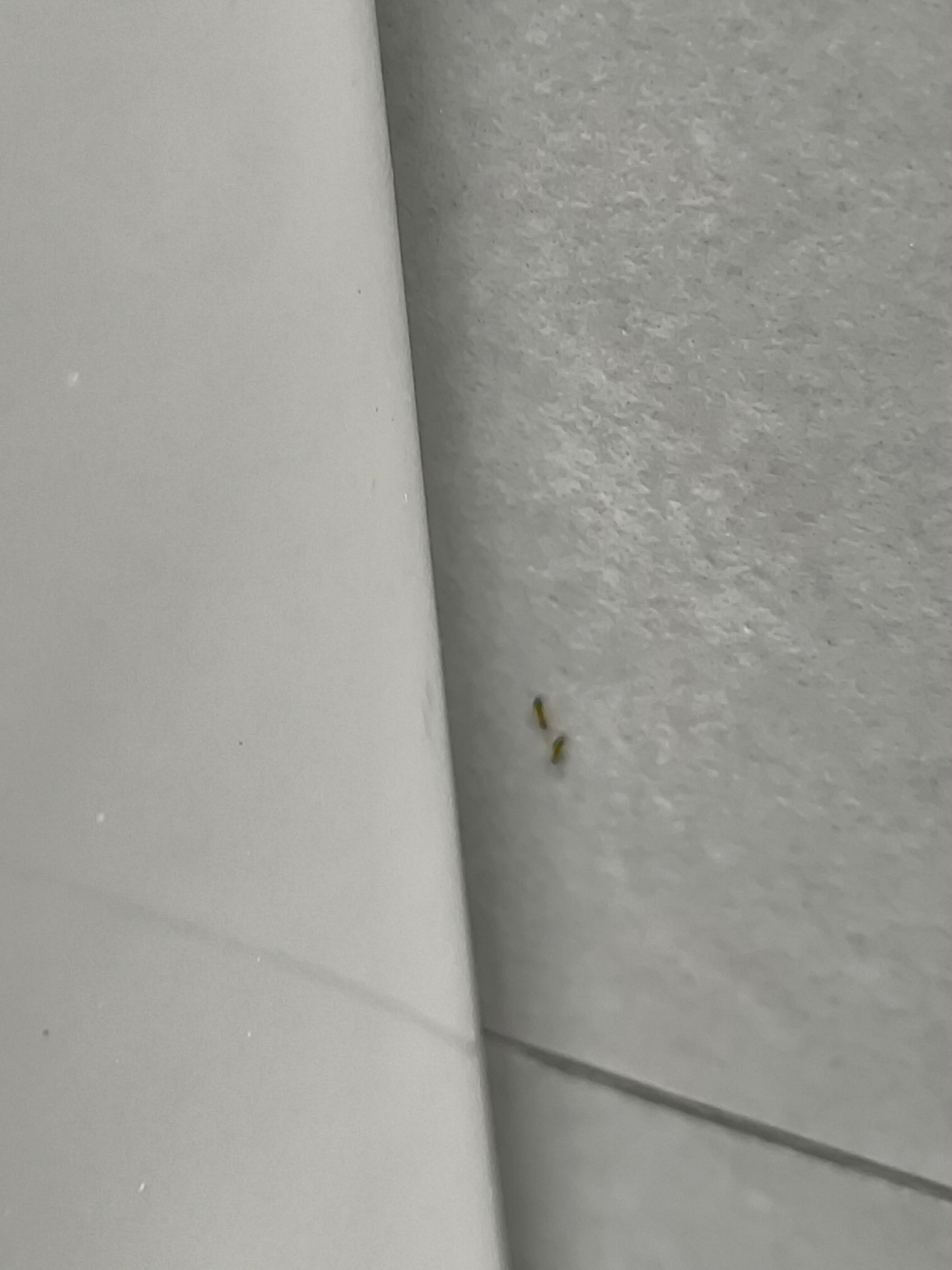 Фото Twelve Inn Hotel