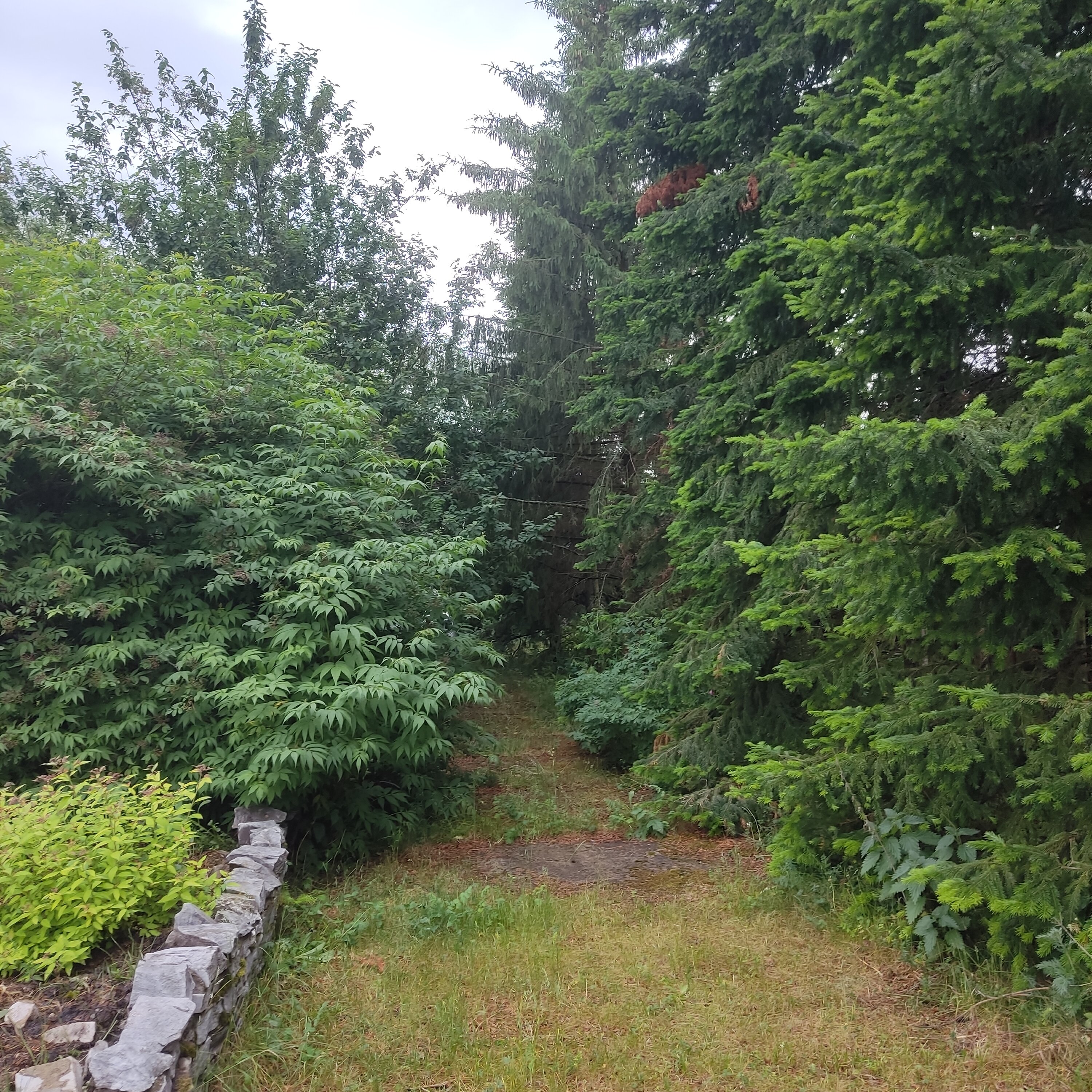 Фото Еловый мыс