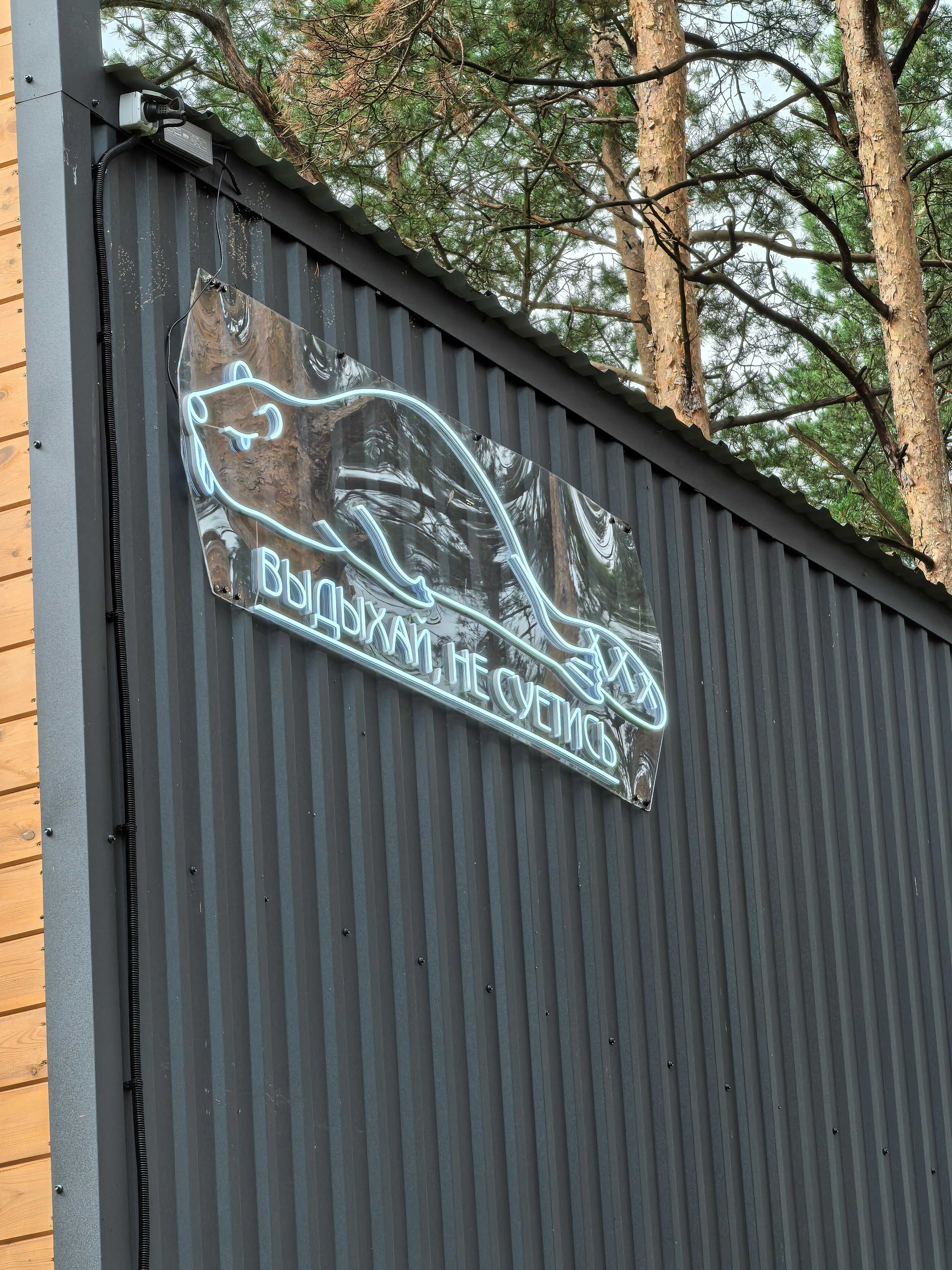 Фото Суеты. нет