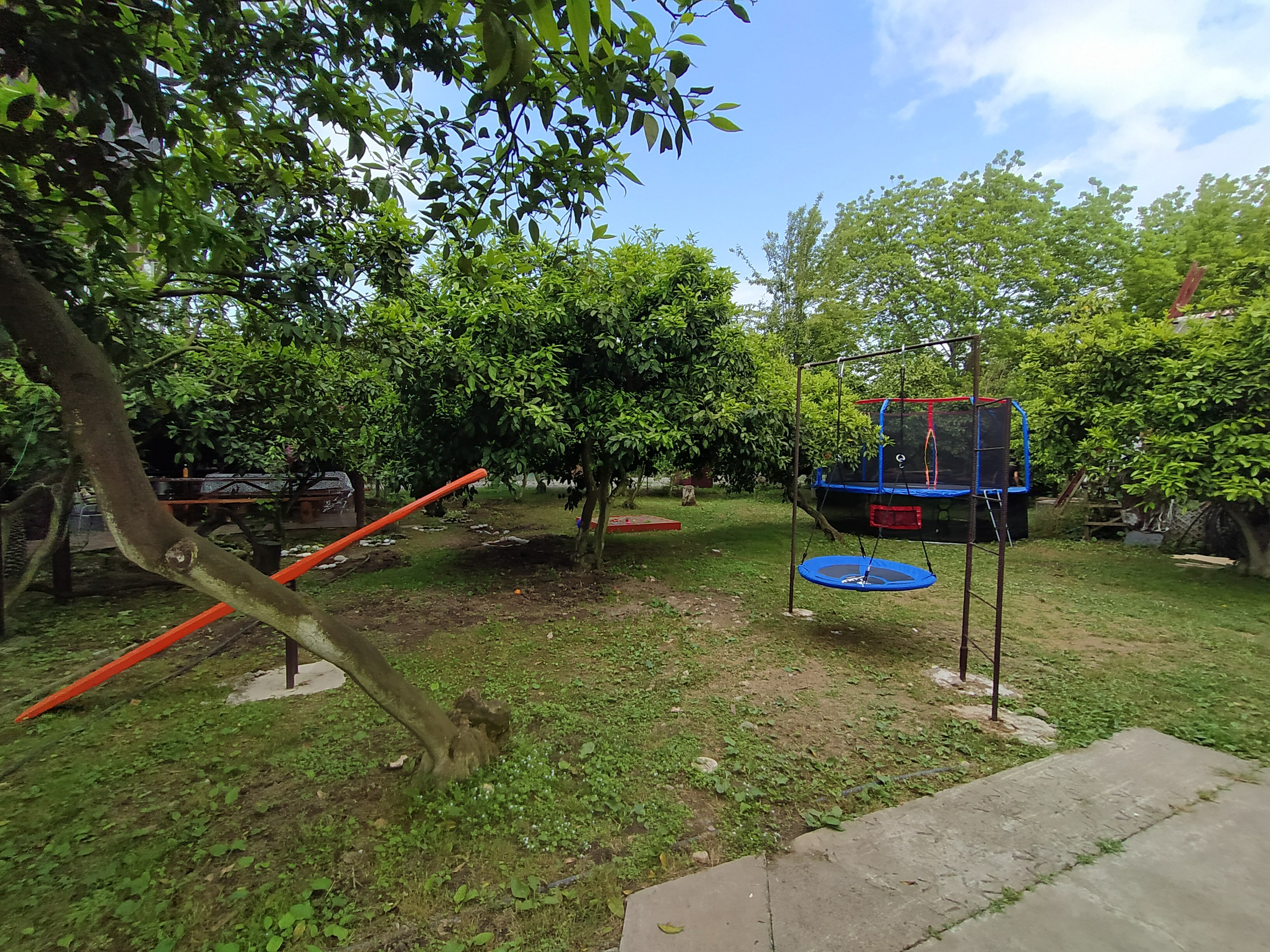 Фото Мандариновый берег