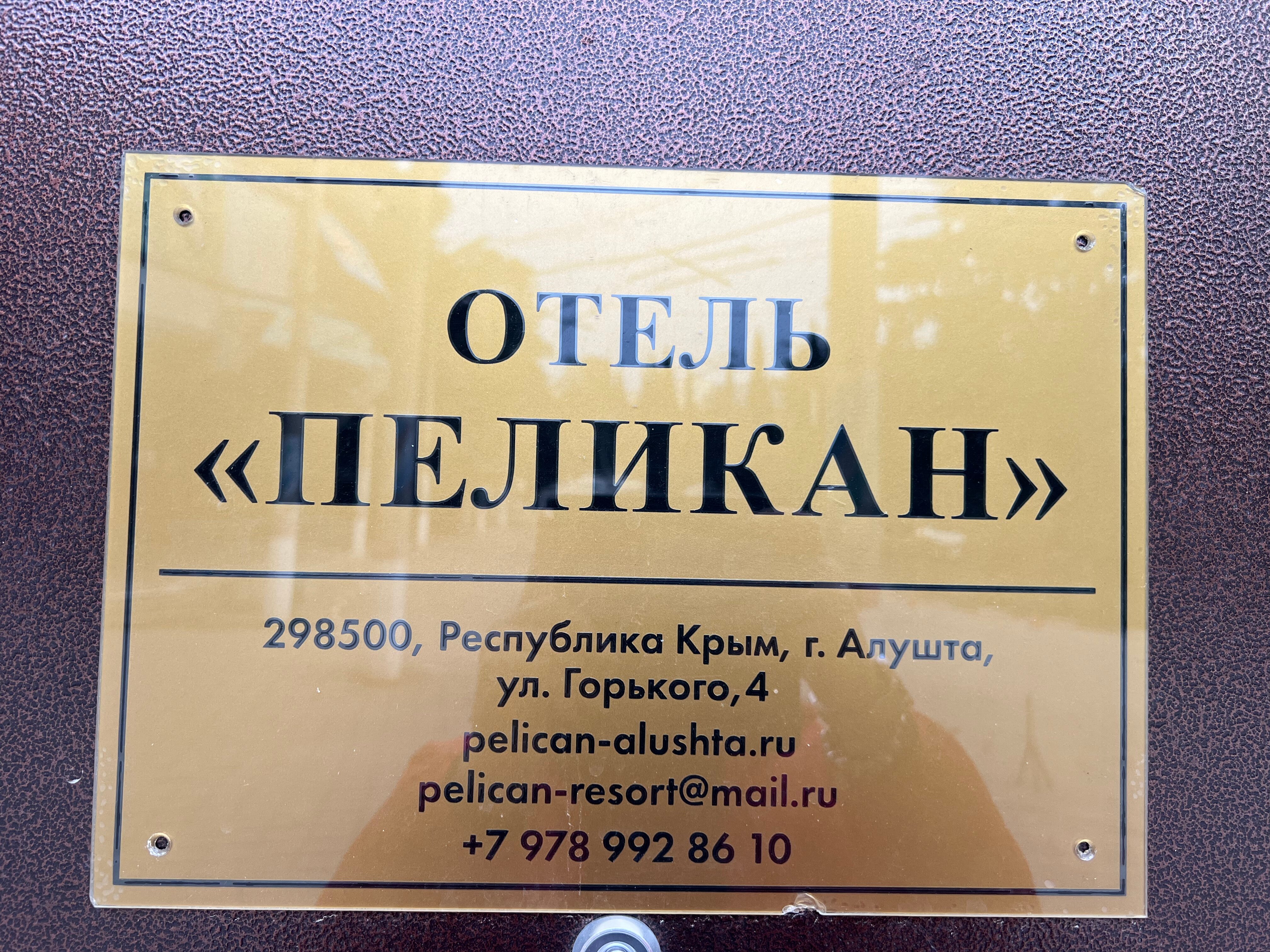 Фото Пеликан