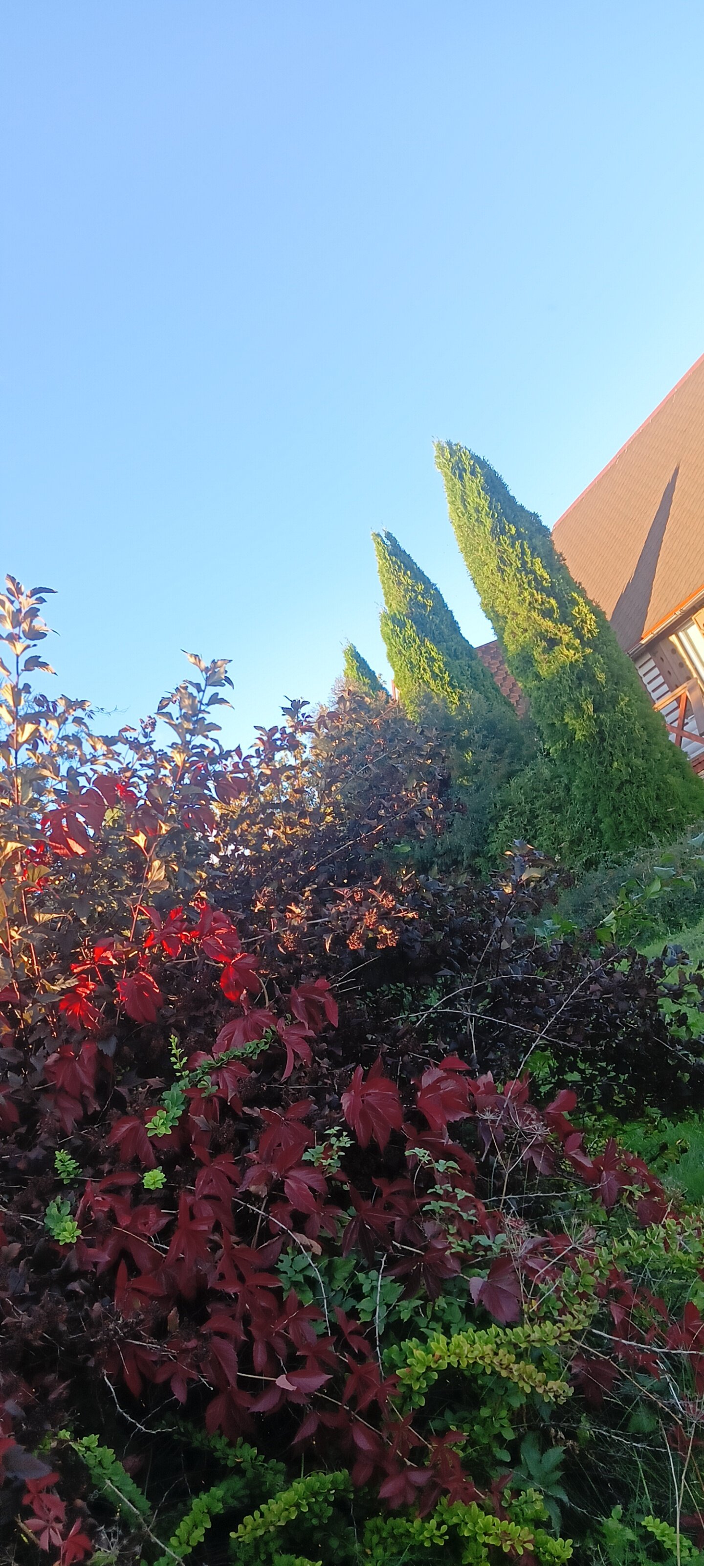 Фото Спасовка