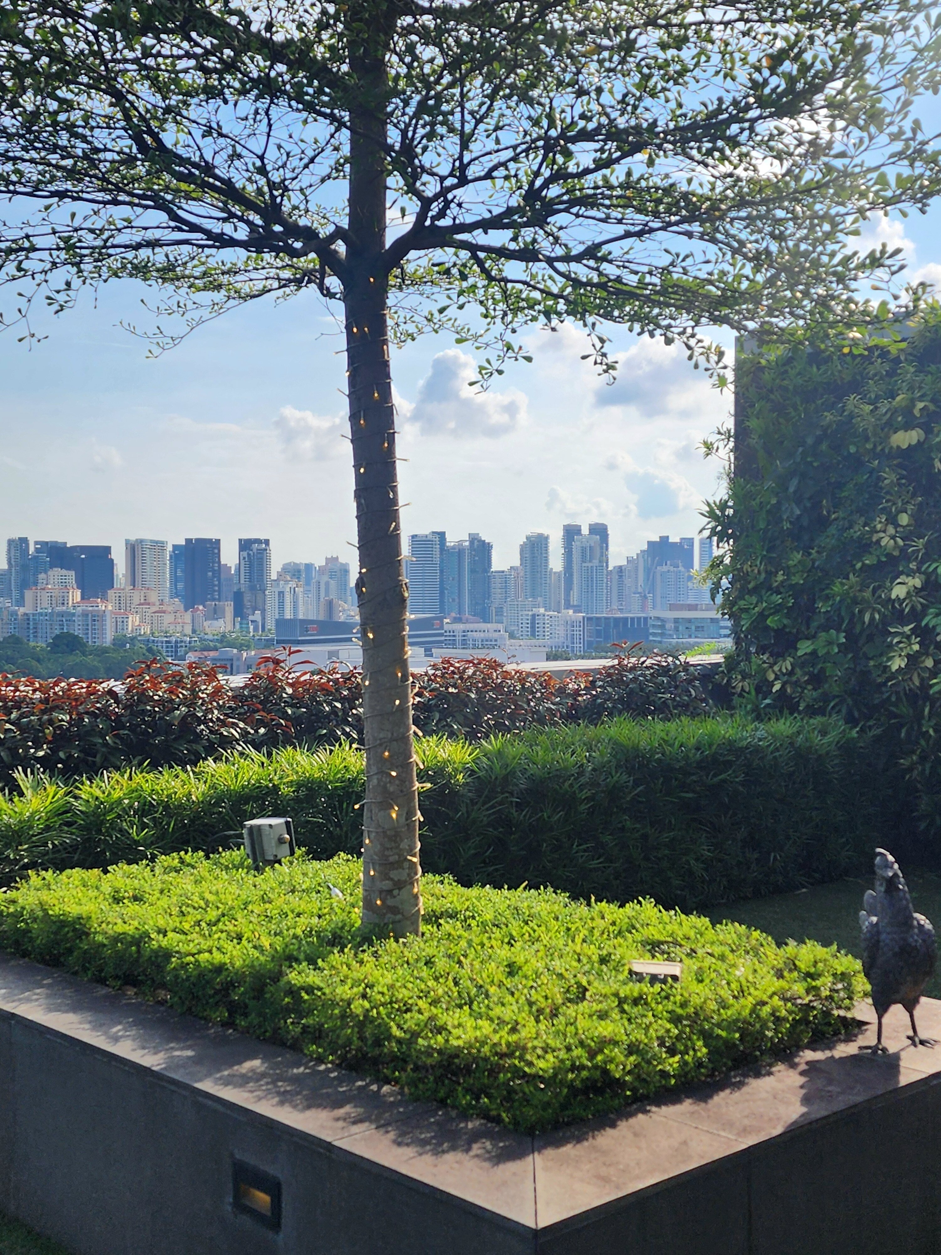 Фото Mercure Singapore Bugis