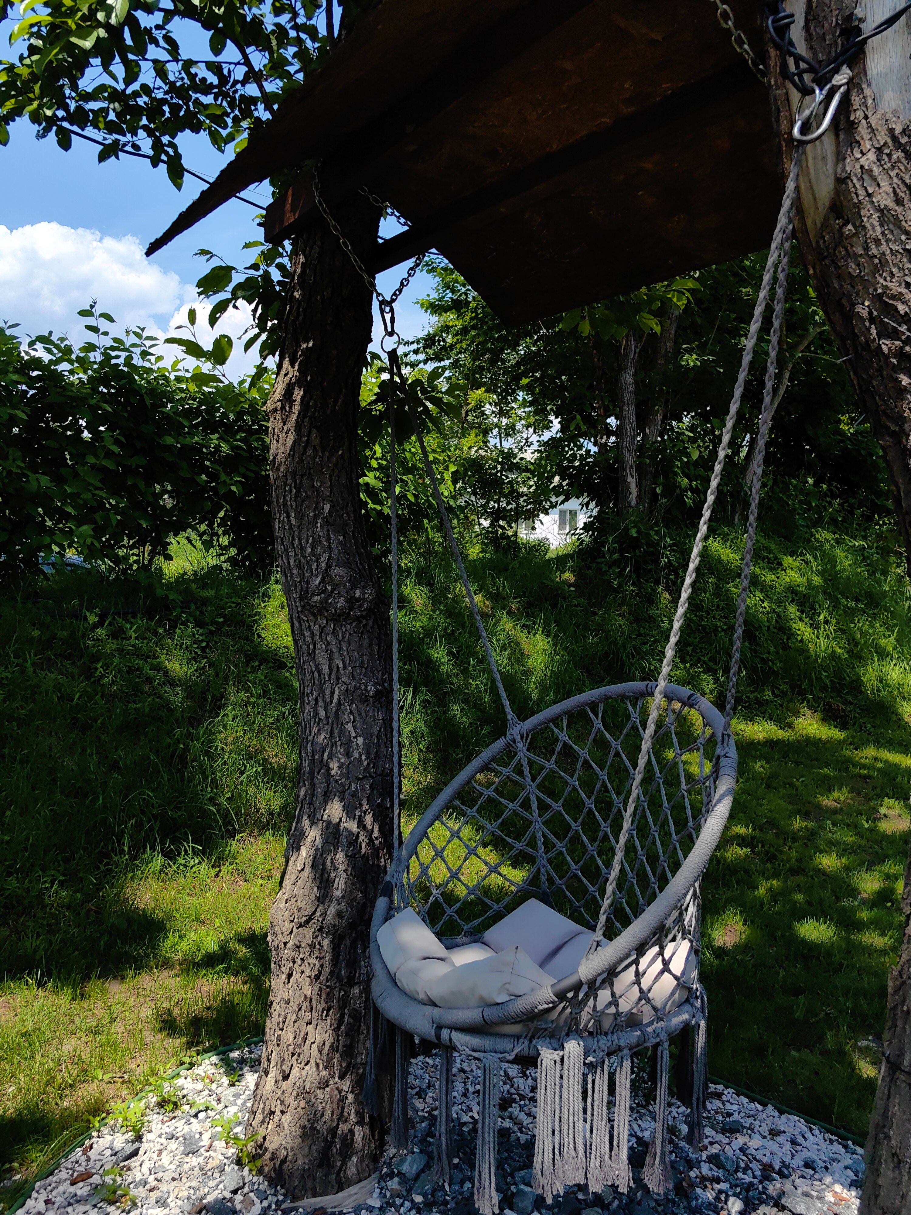 Фото Граф Потоцкий