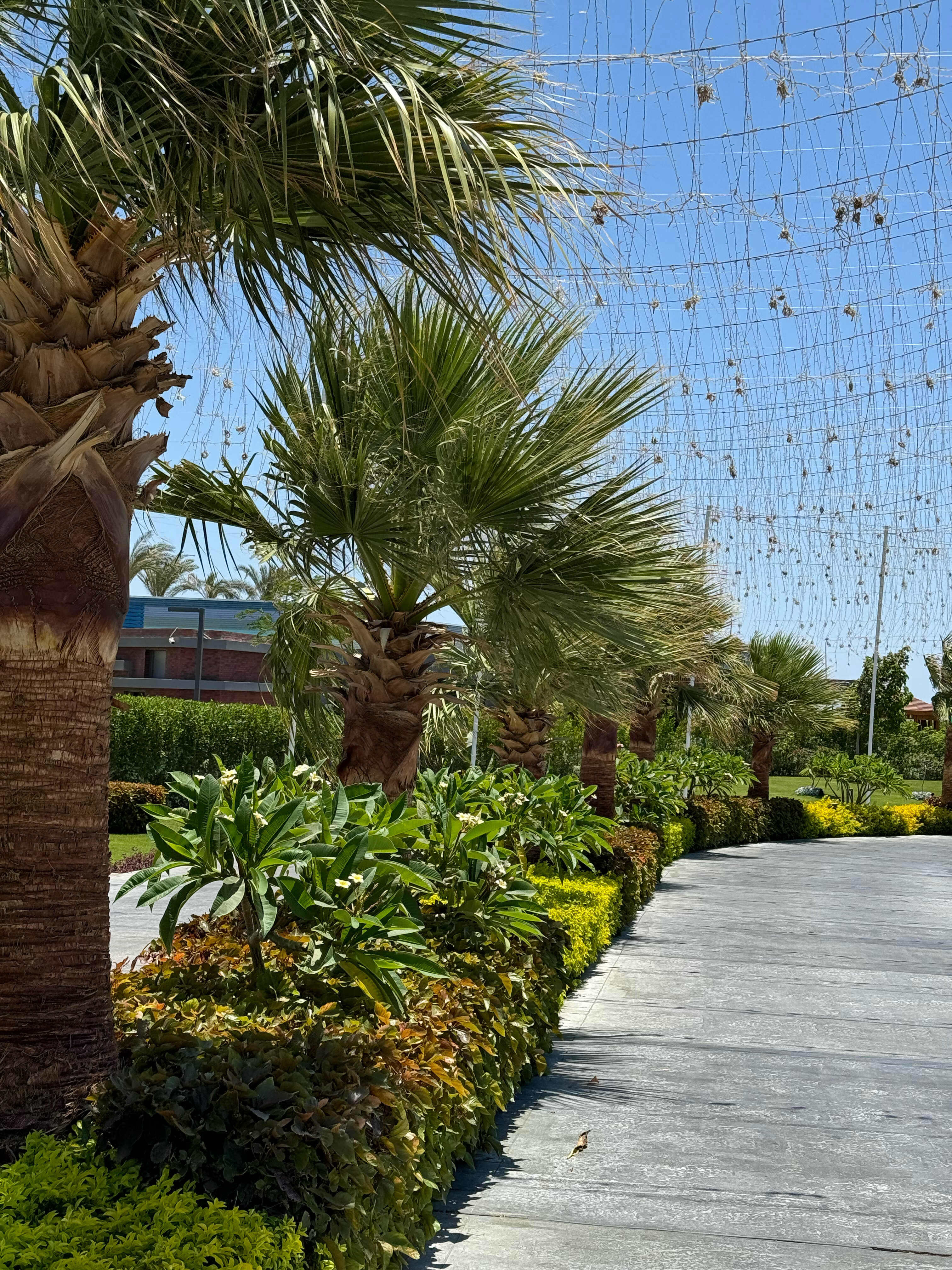 Фото Rixos Radamis Sharm El Sheikh
