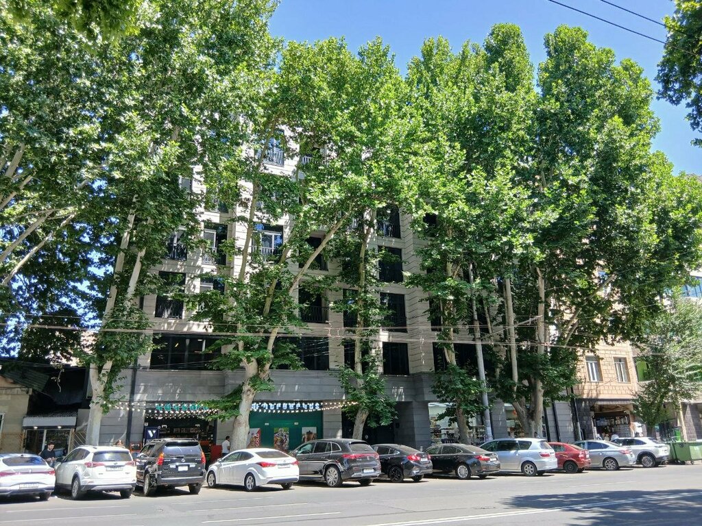 Social research Crrc Armenia, Yerevan, photo