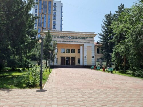 Порно жігіттер қыздармен танысып, соларды сиқытты