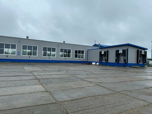 Волжский дереу секс