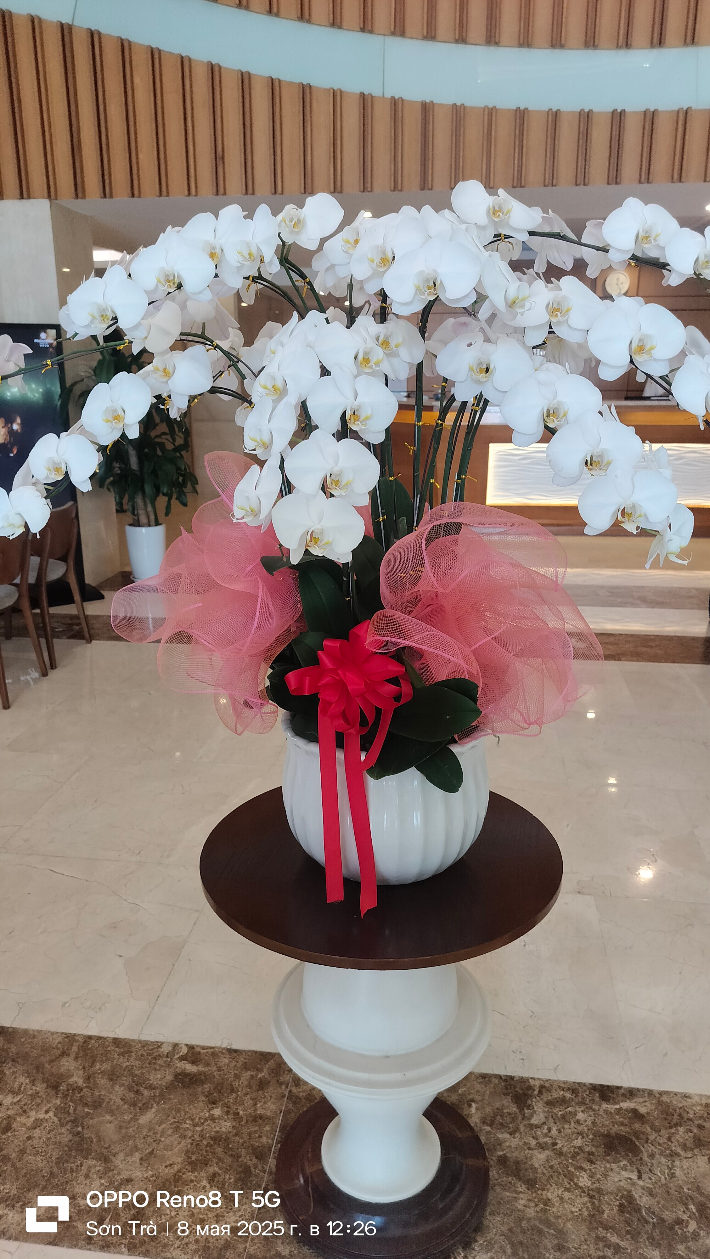 Фото Diamond Sea Hotel