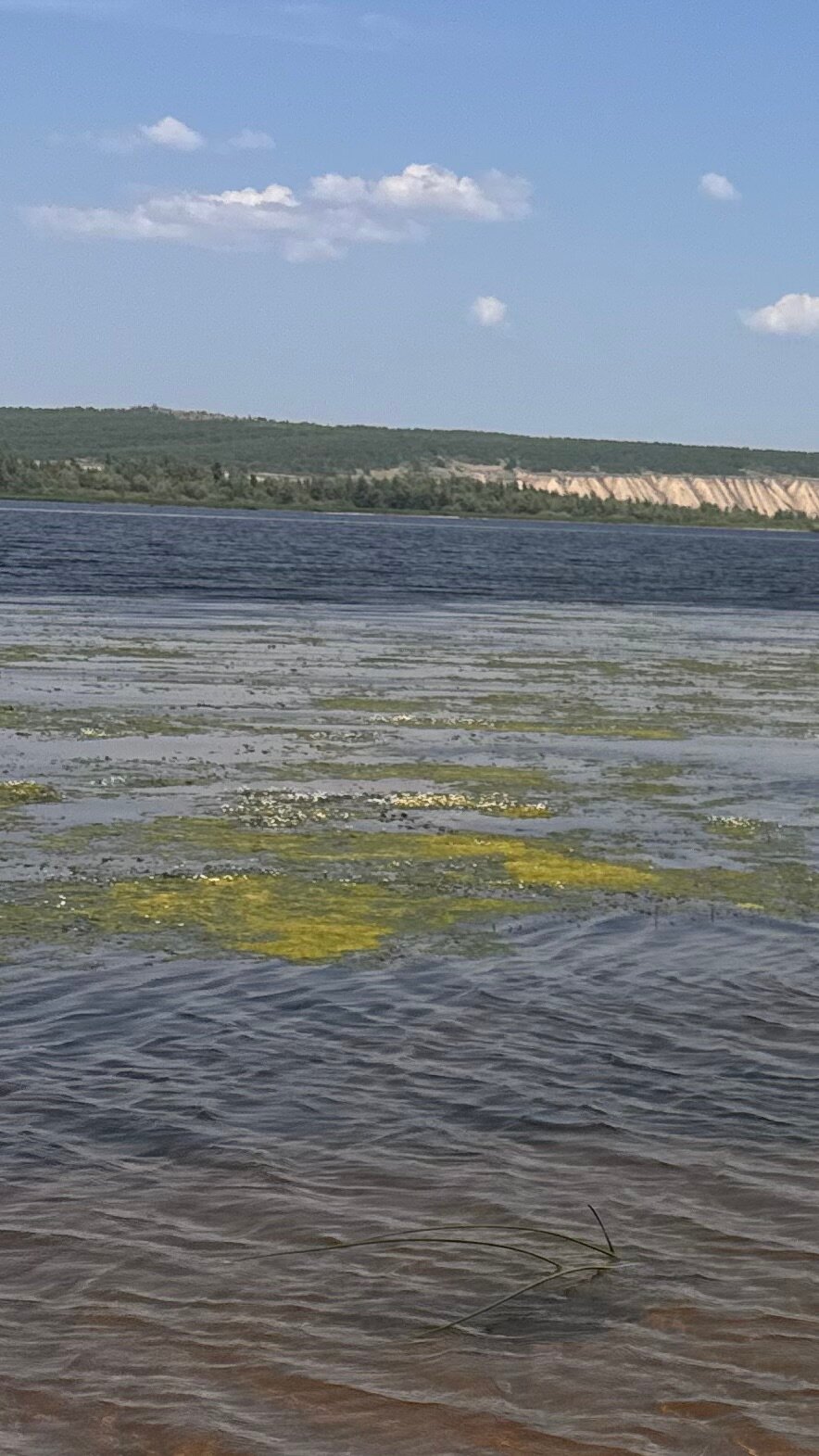 Фото Воложка