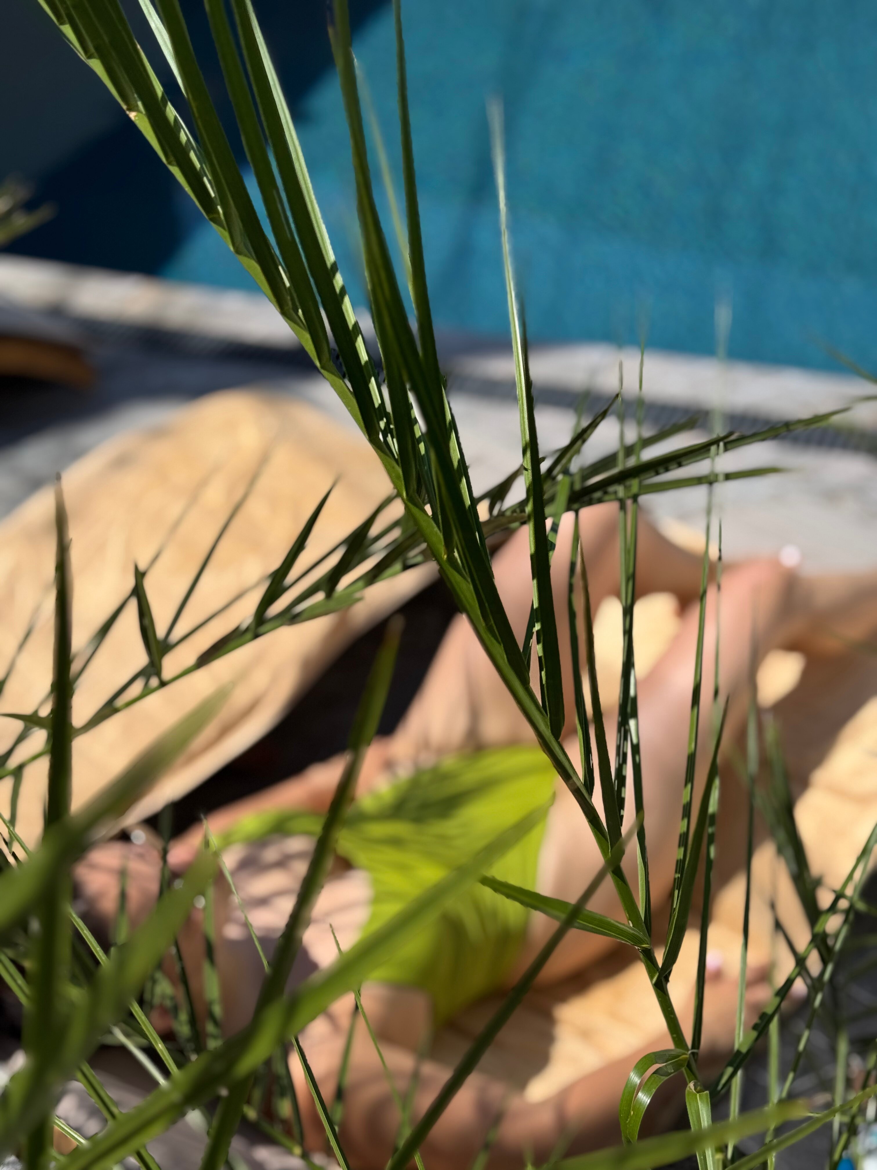 Фото Sandro Palace на Лесной