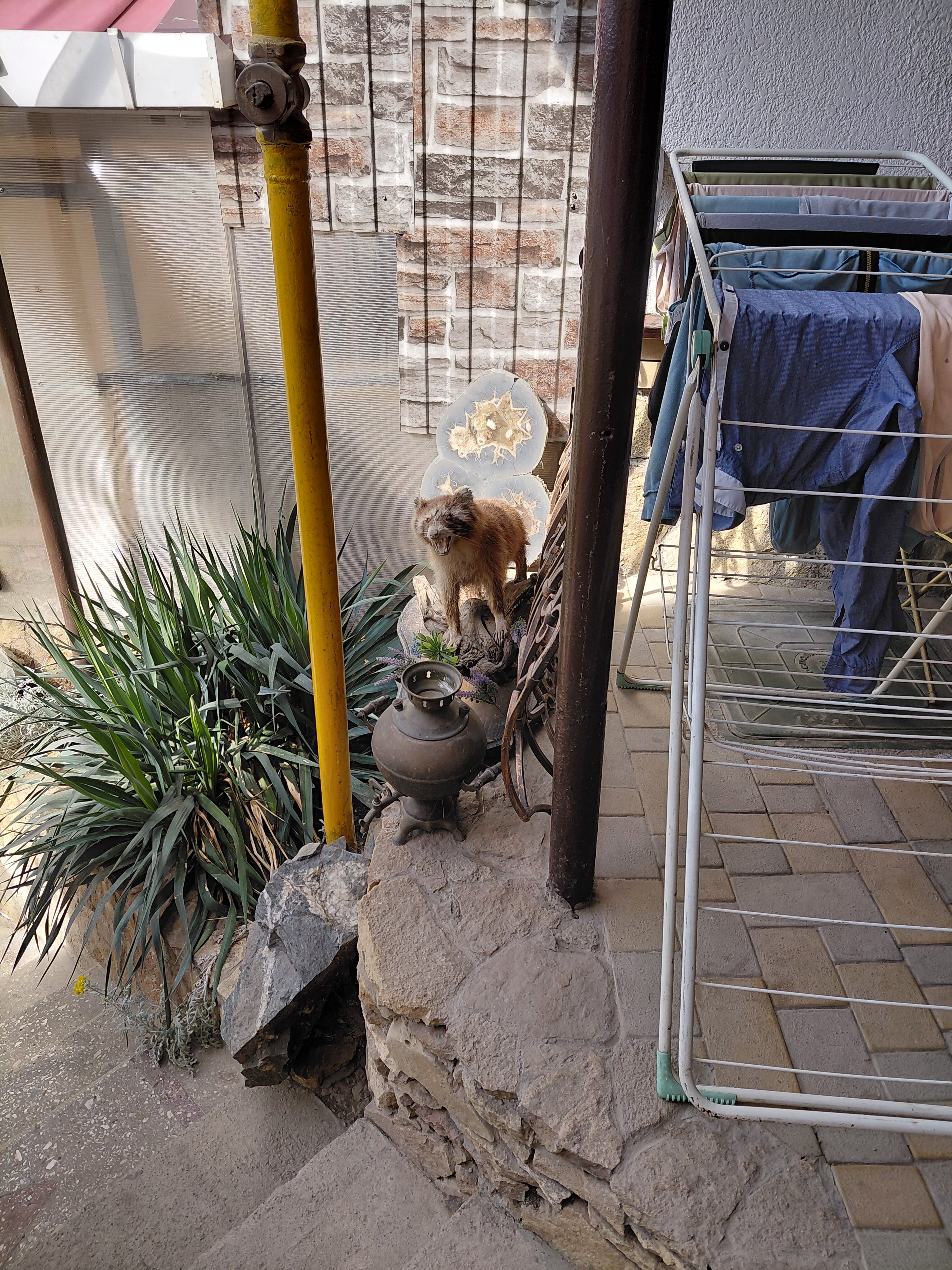 Фото Гостевой дом Крупской 1