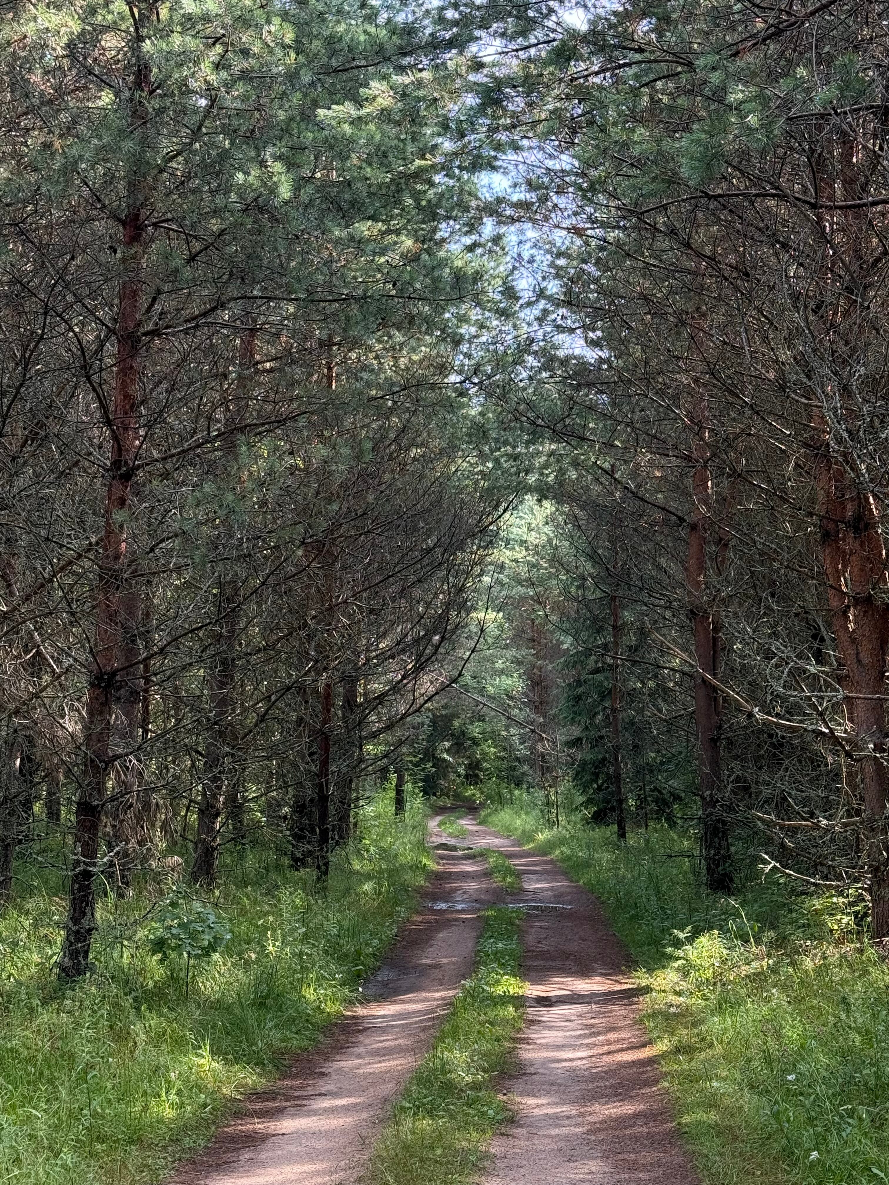 Фото Ура, Селигер!