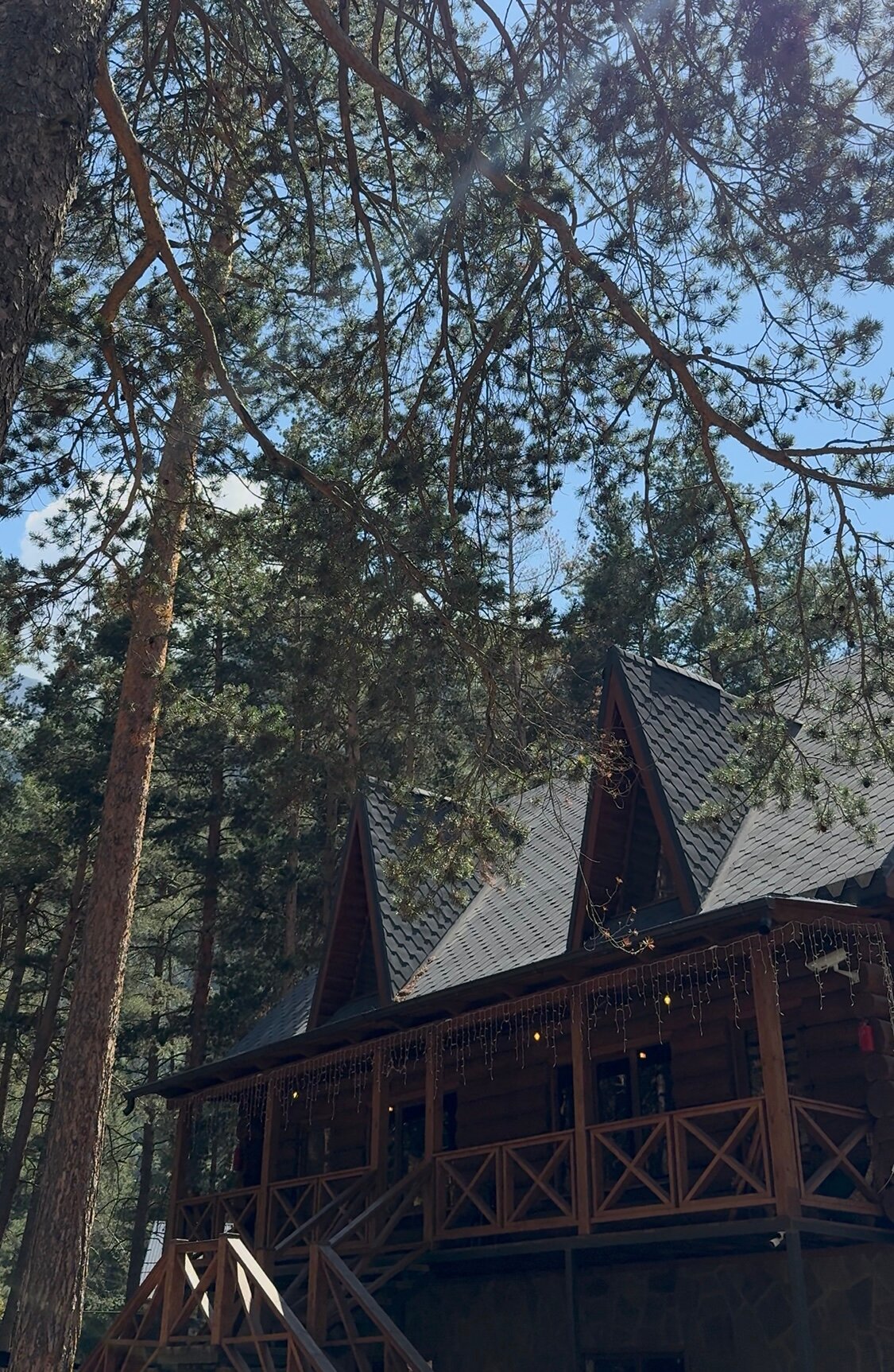 Фото Kingswood Elbrus