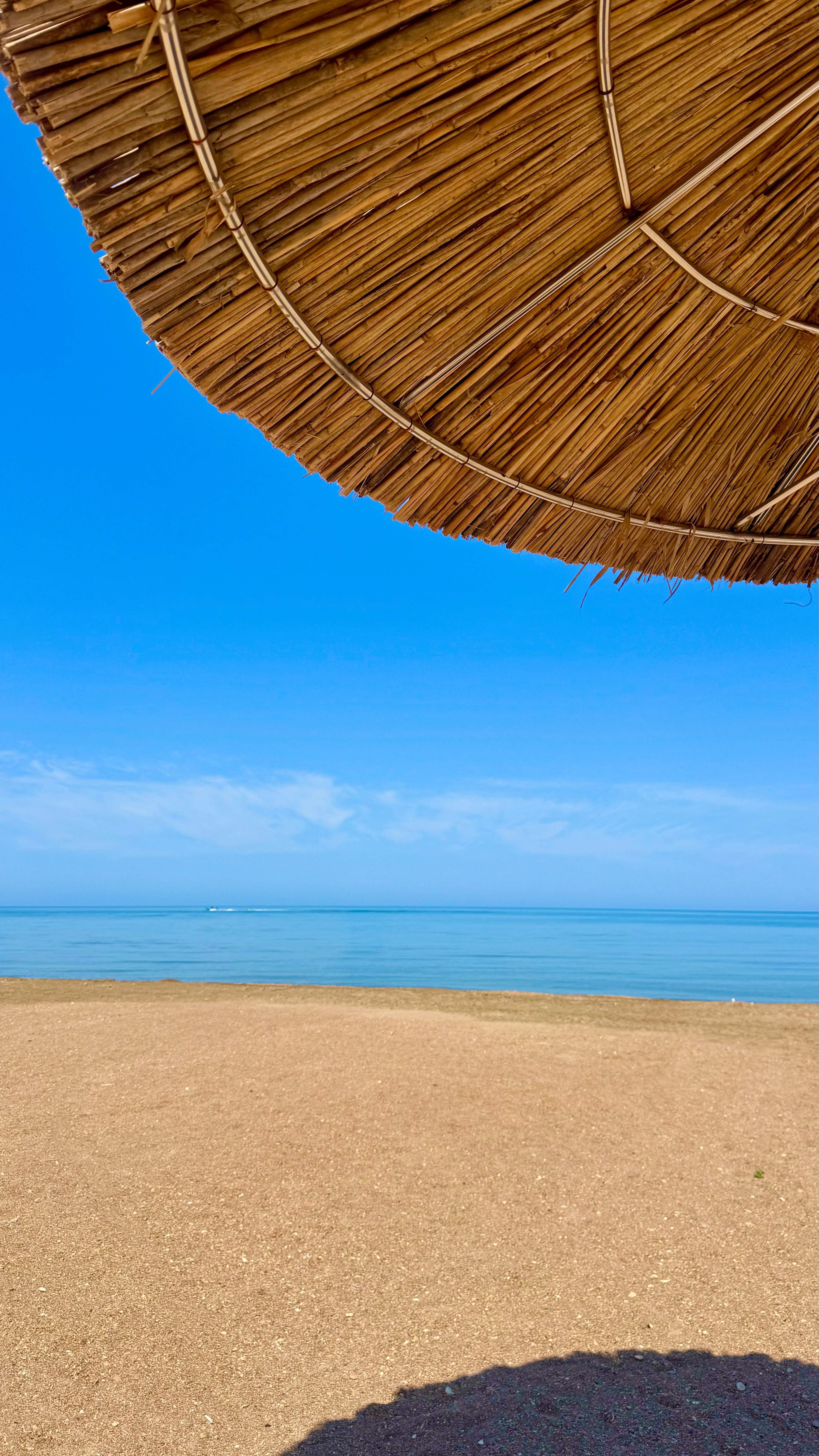 Фото Family Club