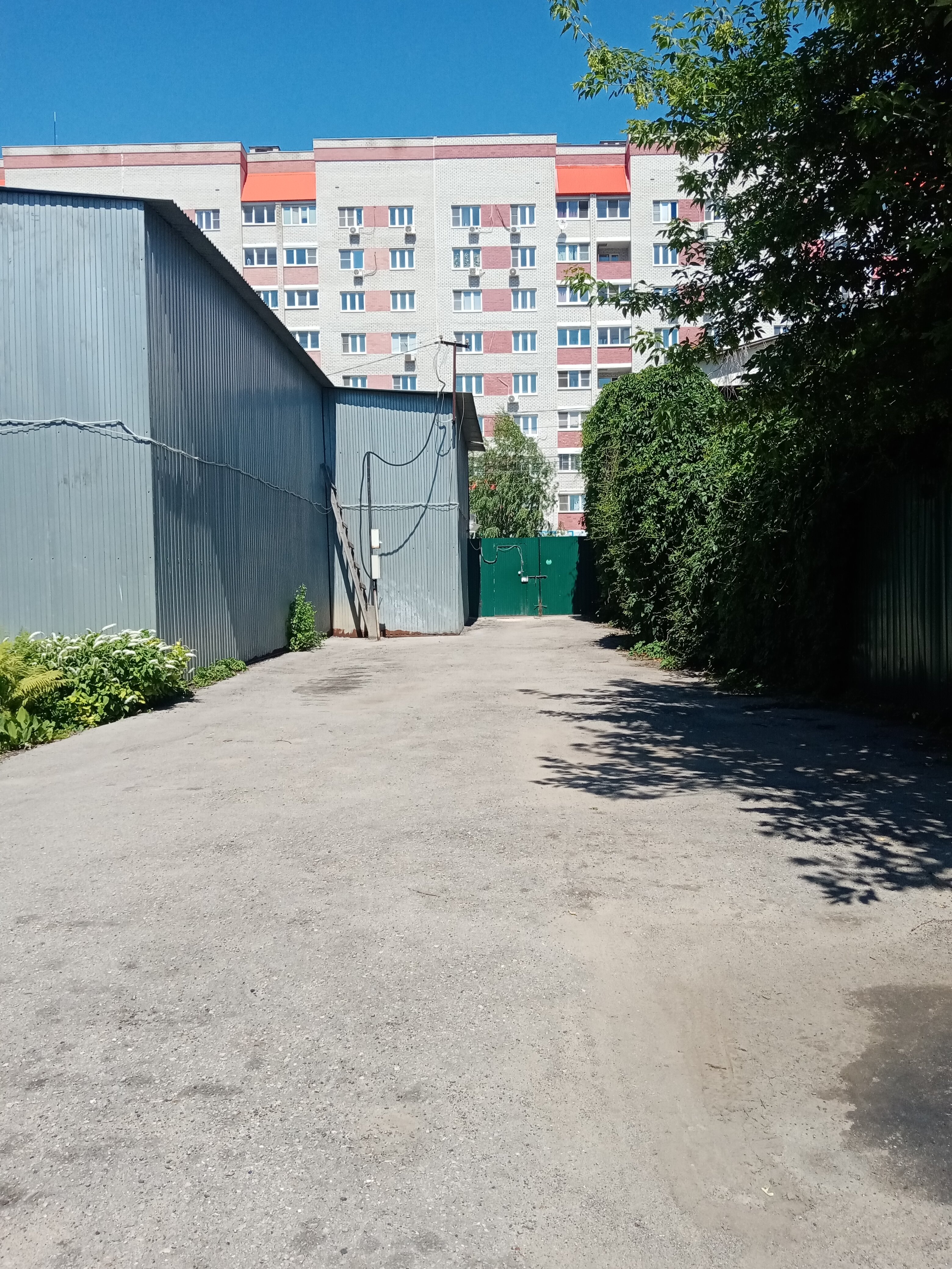 Фото Фаворит