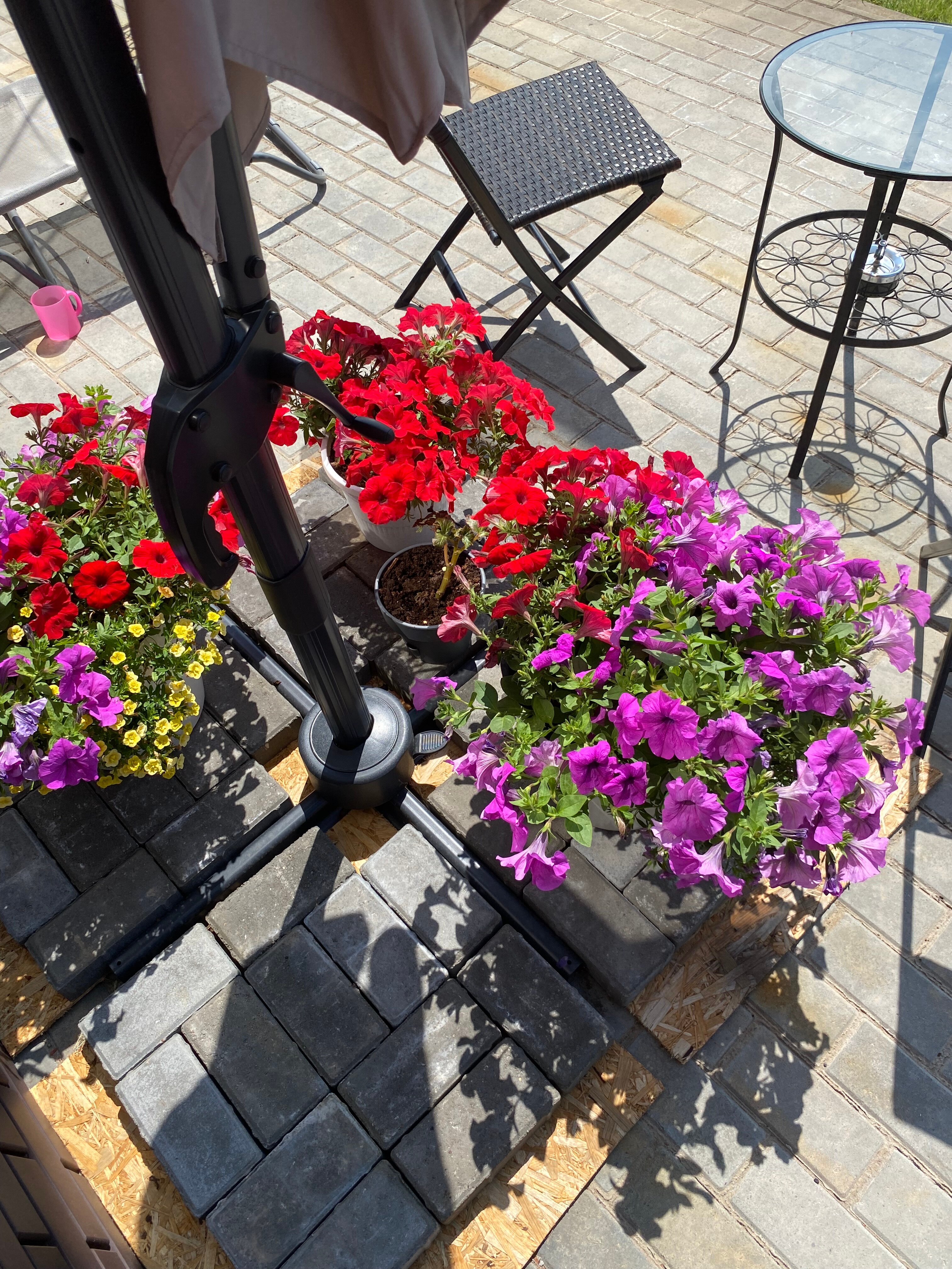 Фото Континент