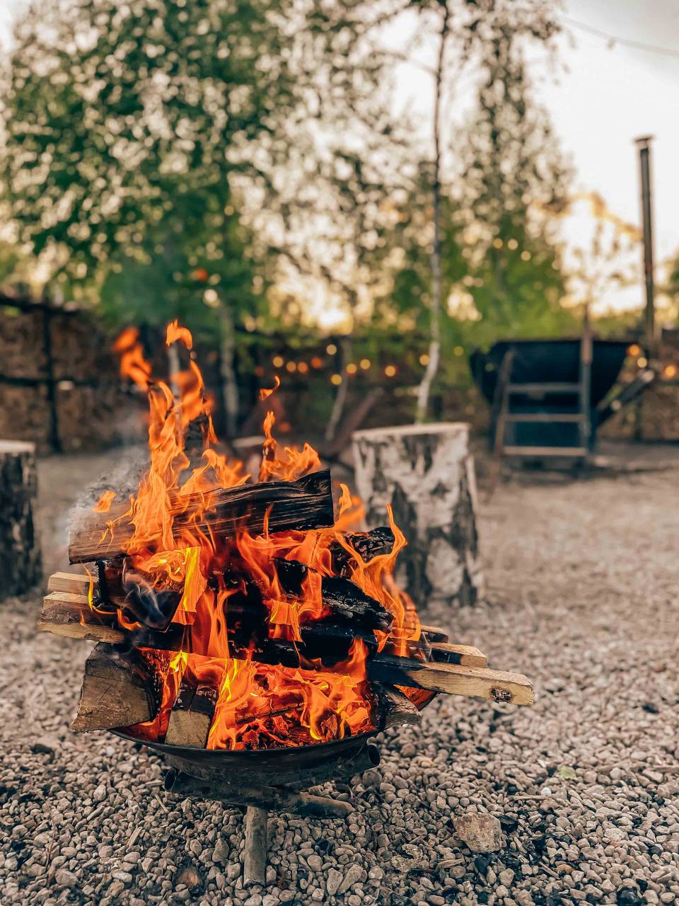 Фото В Поле