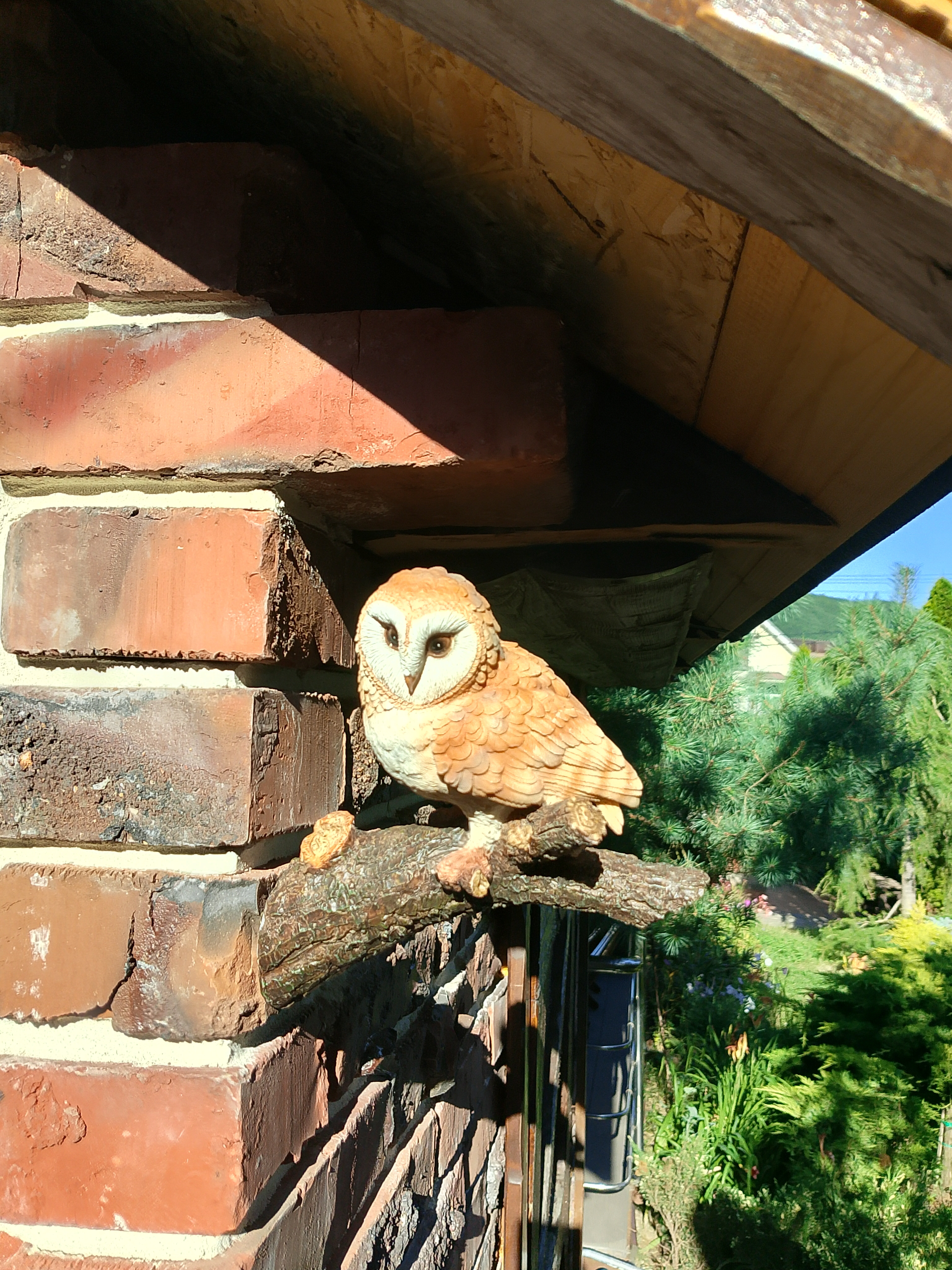 Фото Димерчи