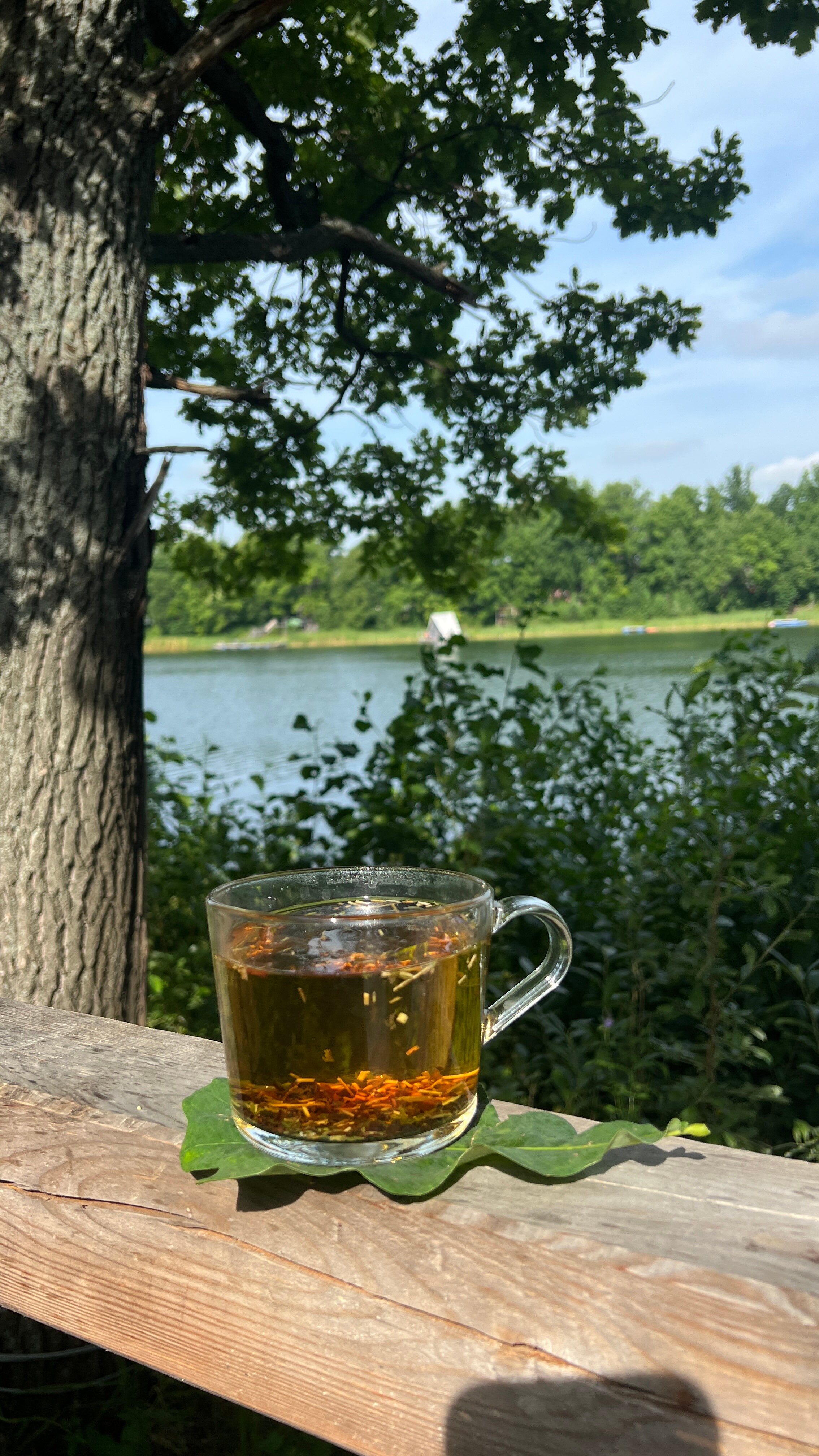 Фото ZeБирск