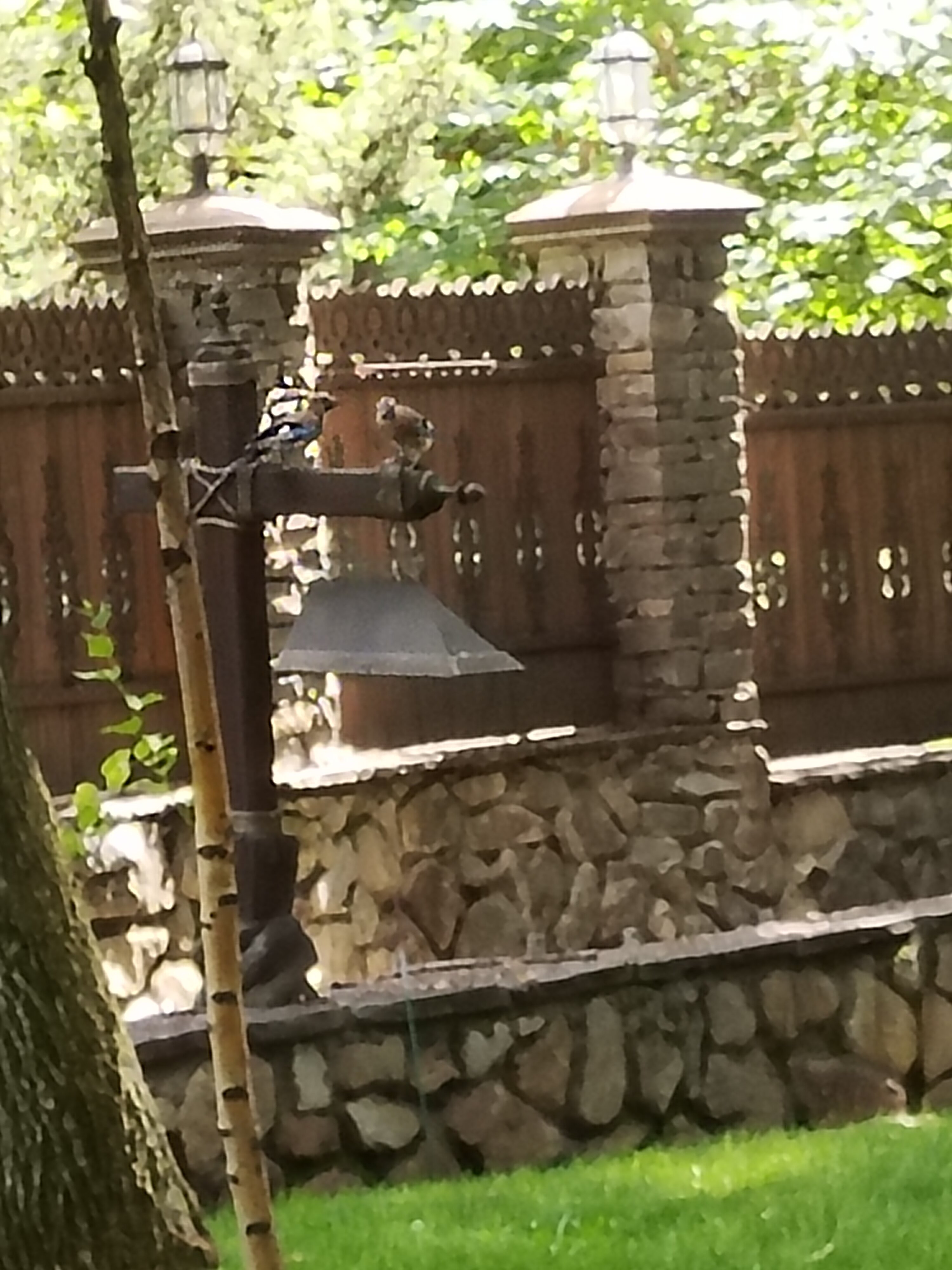 Фото Добрый