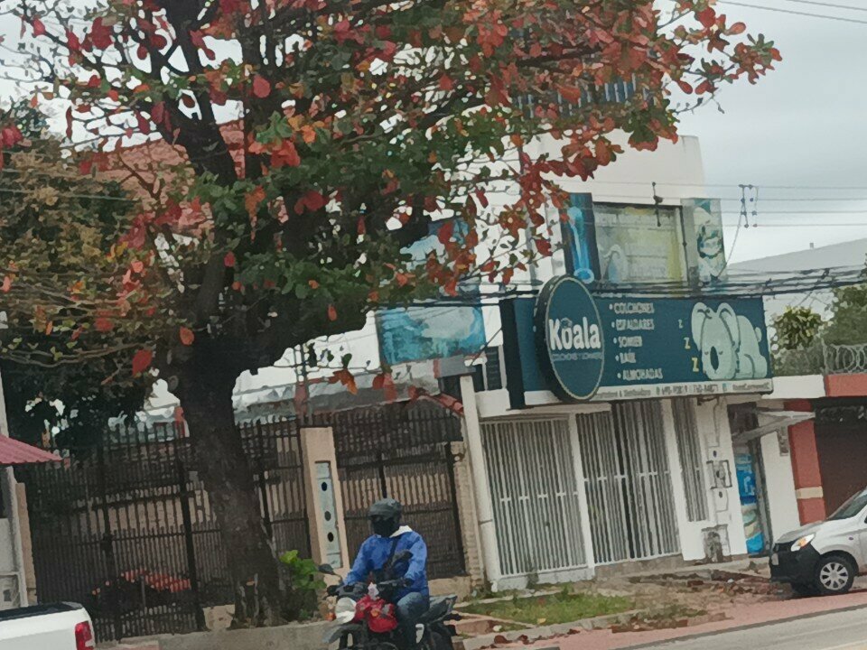 Mattresses Casa Koala, Santa Cruz de la Sierra, photo