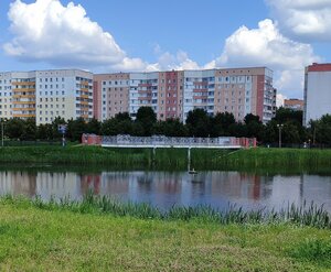 Мостик влюблённых (Homieĺskaja voblasć, Zhlobin), landmark, attraction