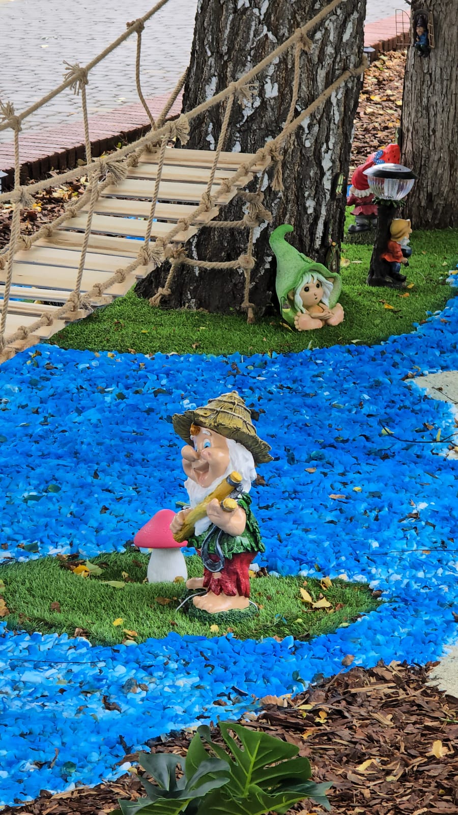 Фото Радуга