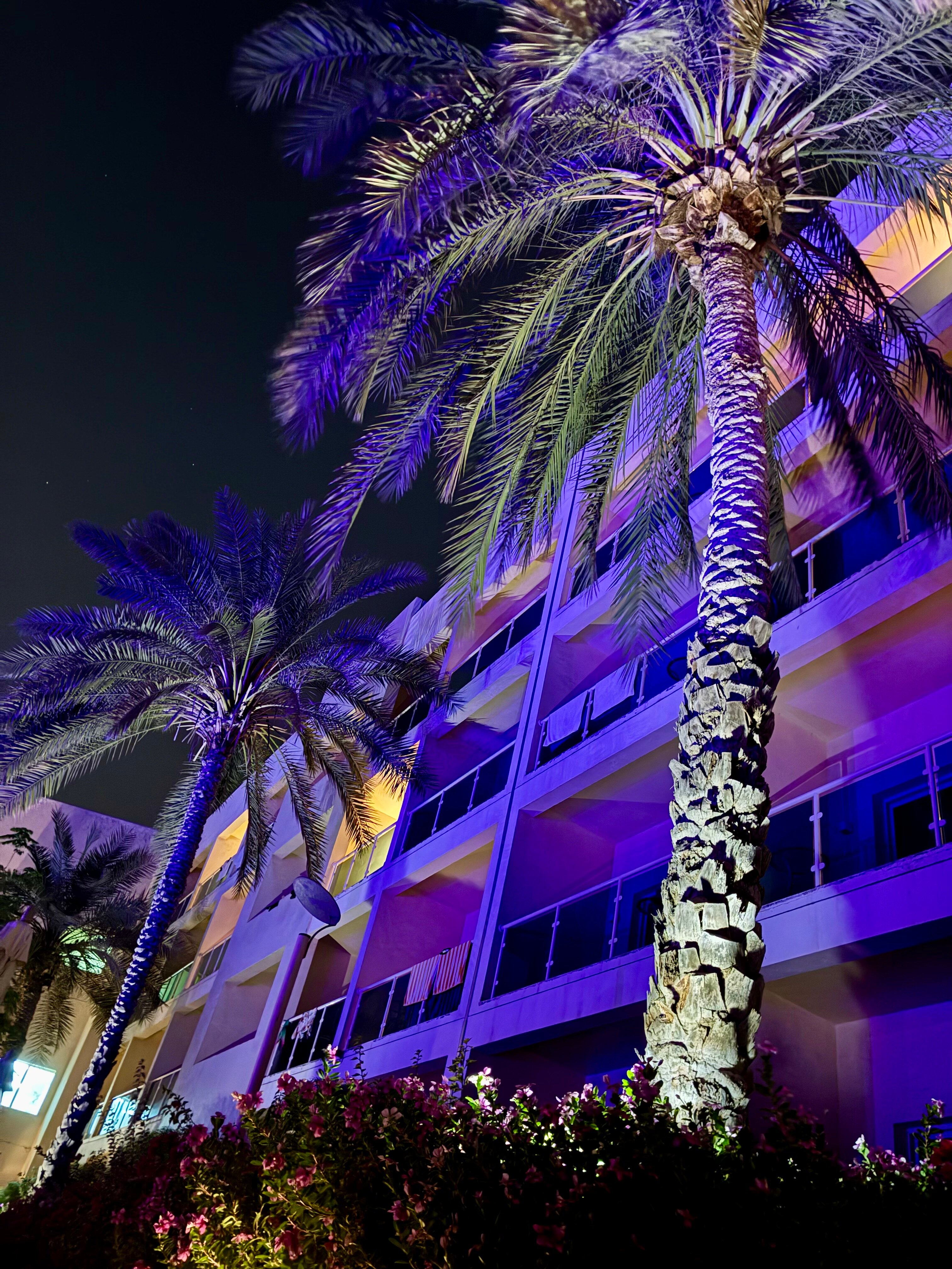 Фото Radisson Blu Resort Fujairah